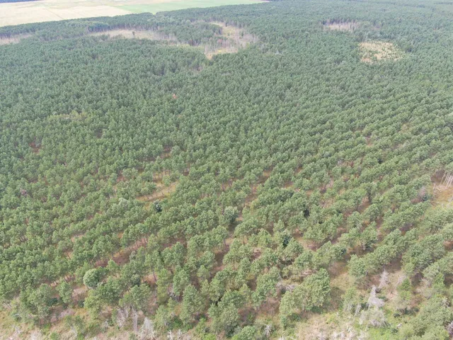 $400,000 | 80-ac 16th Avenue, Arkdale, WI 54613