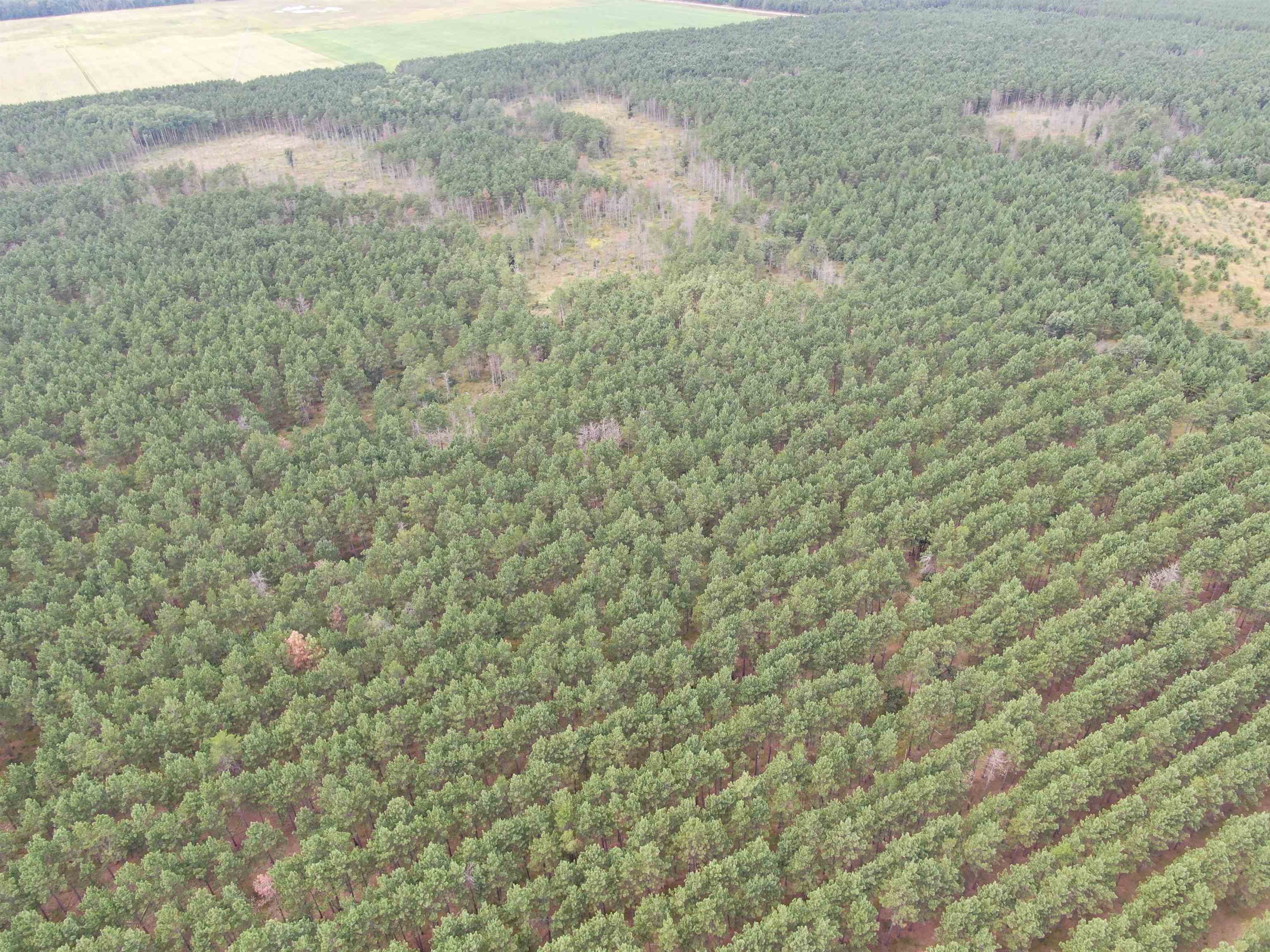 80-ac 16th Avenue Arkdale, WI 54613 - Photo 29 of 32