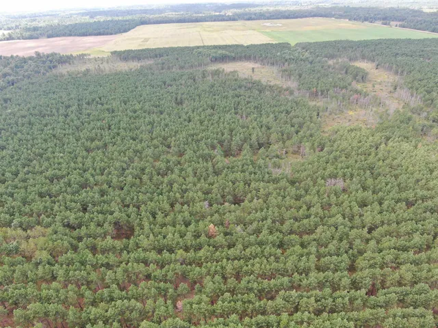 $400,000 | 80-ac 16th Avenue, Arkdale, WI 54613