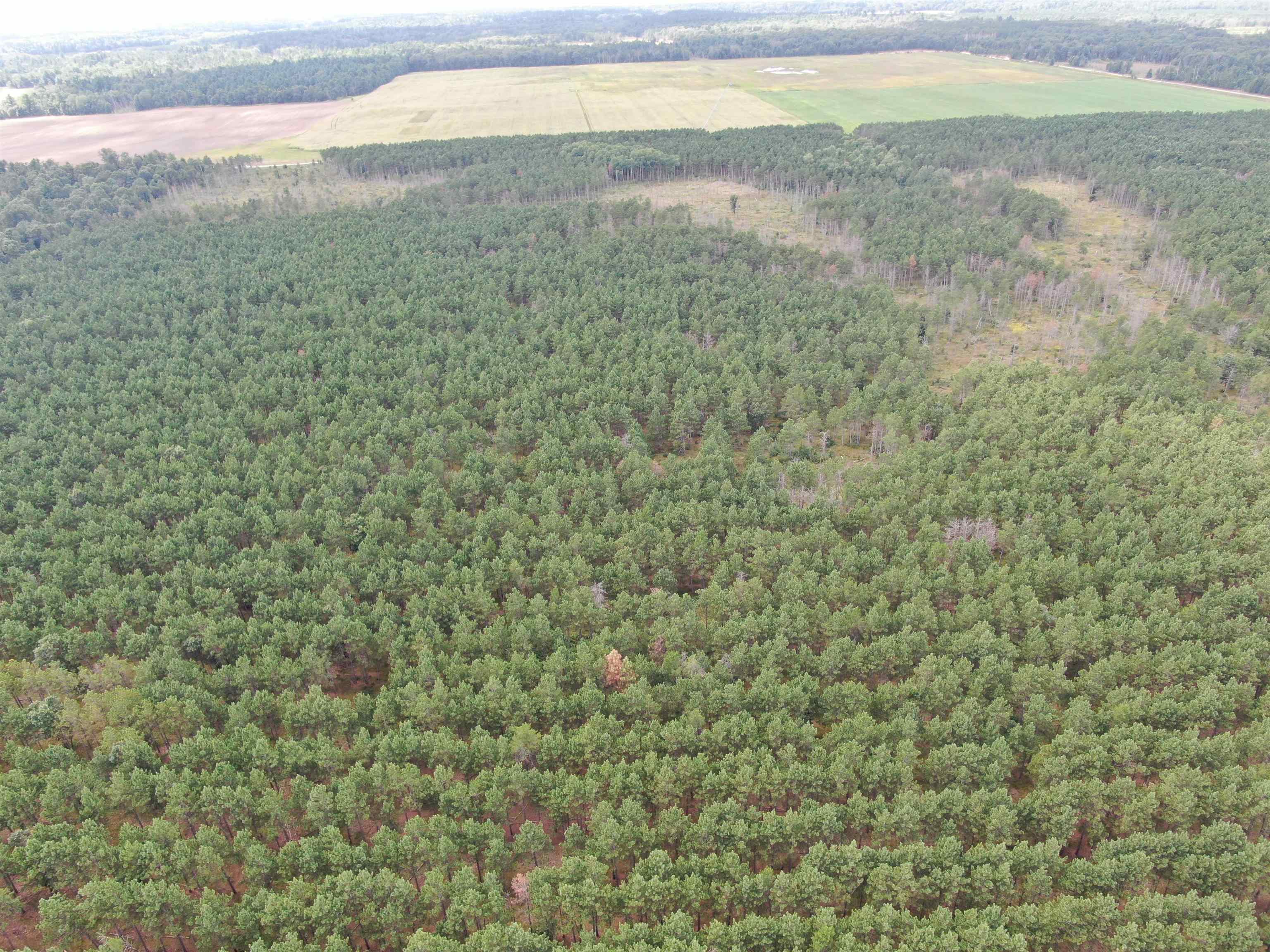 80-ac 16th Avenue Arkdale, WI 54613 - Photo 30 of 32