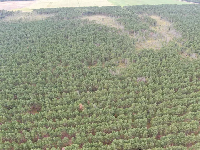 $400,000 | 80-ac 16th Avenue, Arkdale, WI 54613