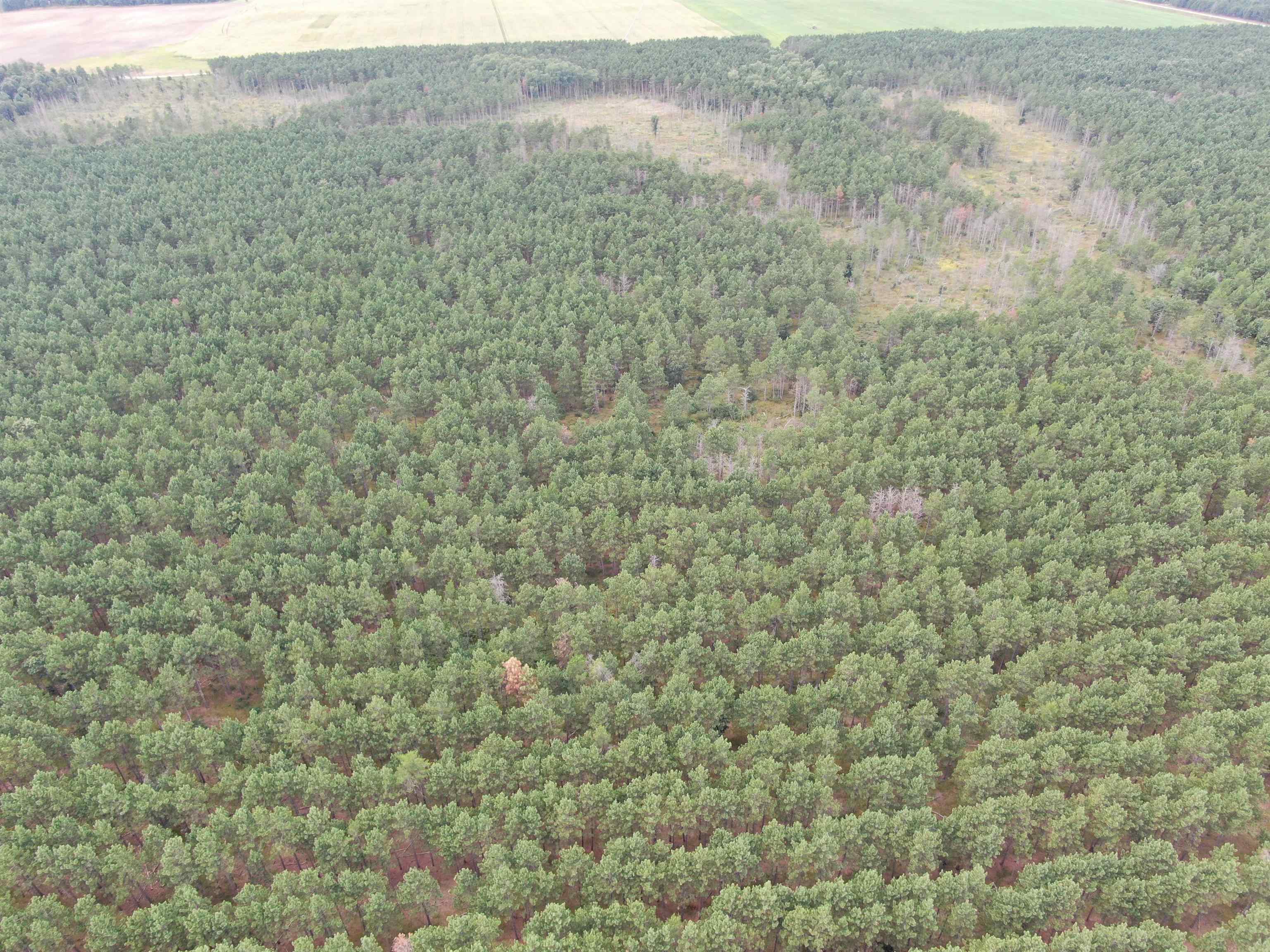 80-ac 16th Avenue Arkdale, WI 54613 - Photo 31 of 32