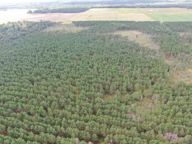 $400,000 | 80-ac 16th Avenue, Arkdale, WI 54613