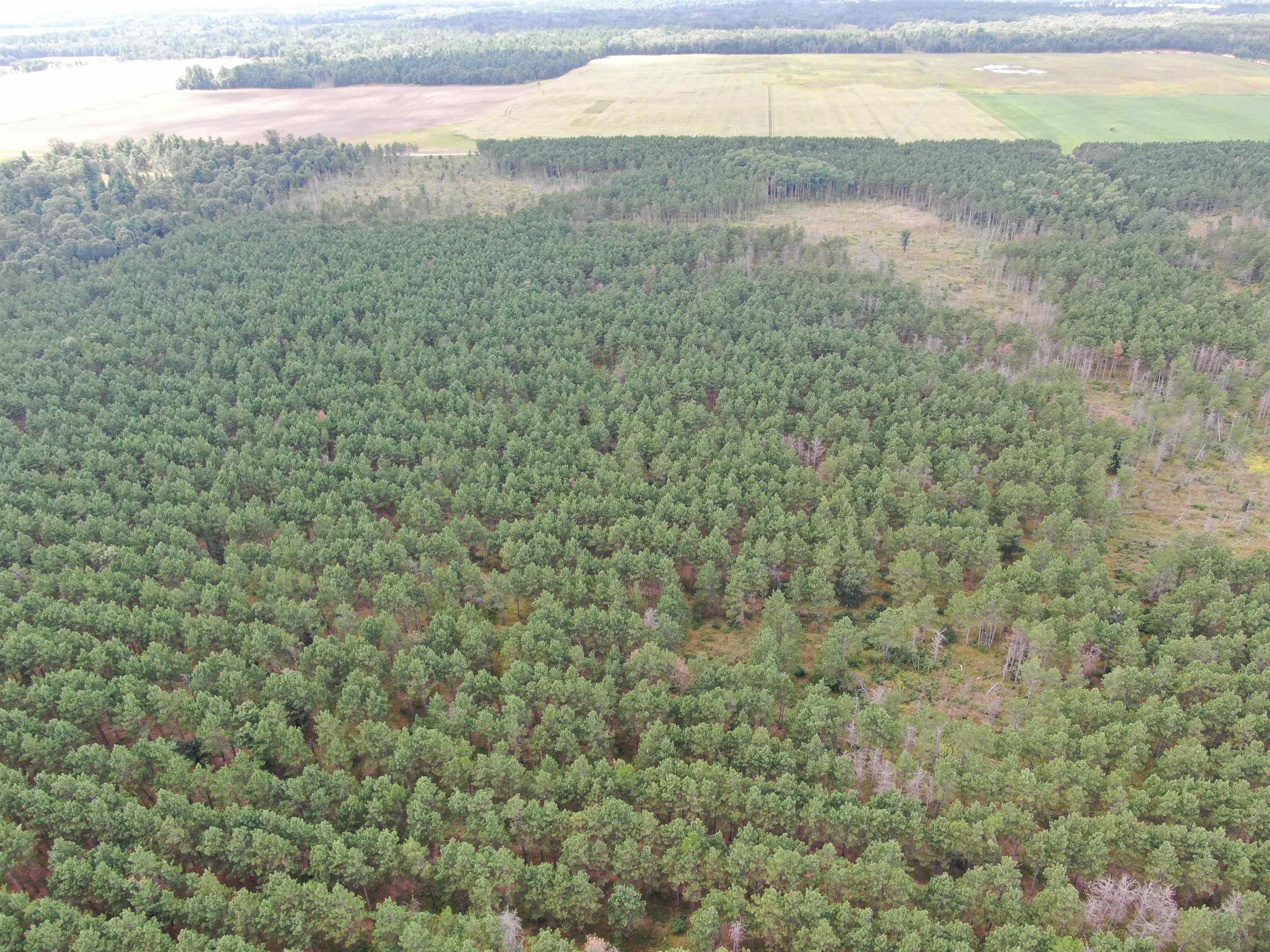 80-ac 16th Avenue Arkdale, WI 54613 - Photo 6 of 32