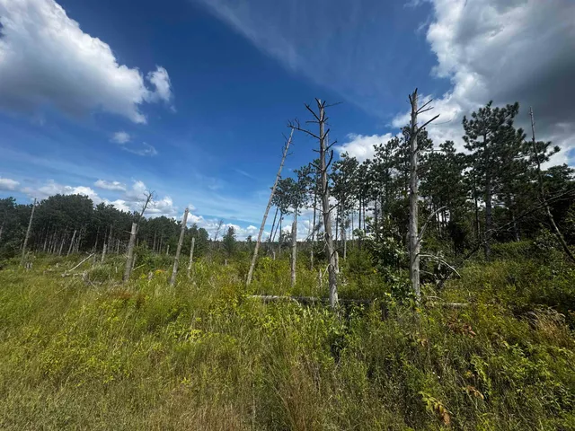 $400,000 | 80-ac 16th Avenue, Arkdale, WI 54613