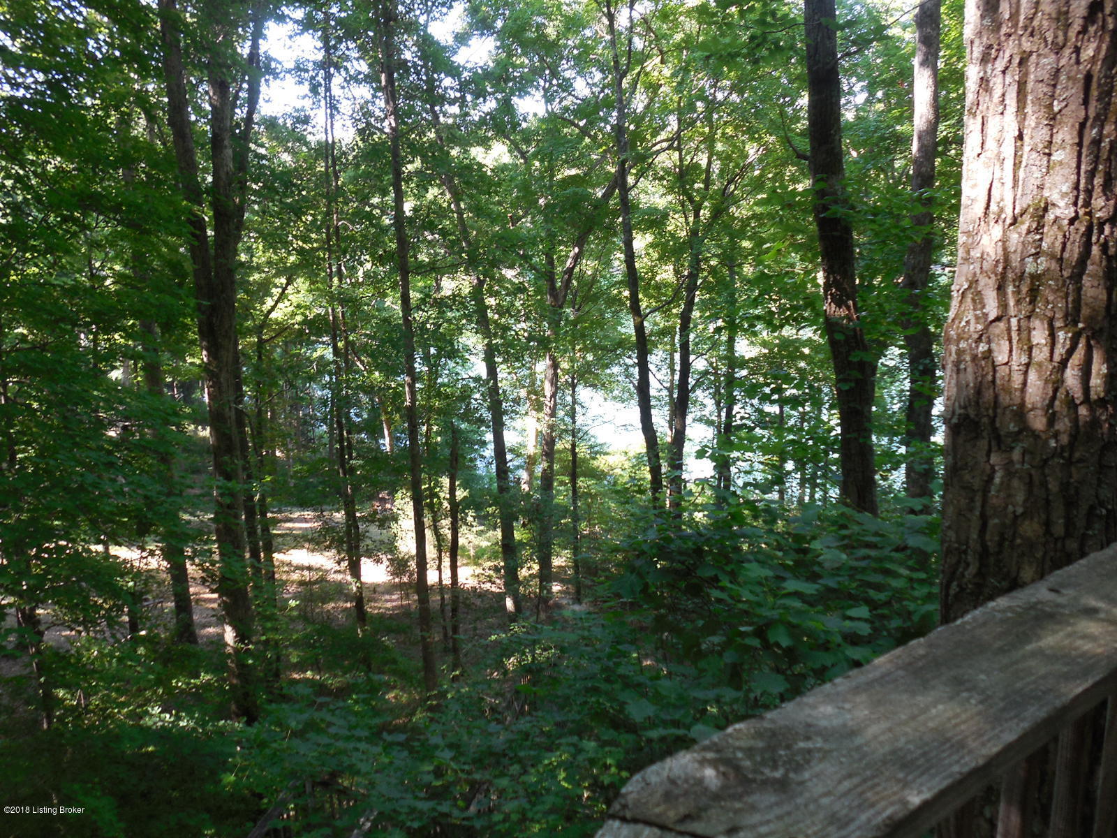 358 Penn Run Road Bee Spring, KY 42207 - Photo 4 of 11 DSCN1367