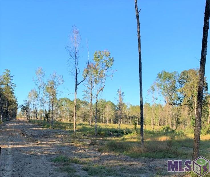 1 East La Highway Clinton, LA 70722 - Photo 3 of 9