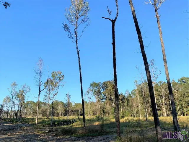 $67,000 | 1 East La Highway, Clinton, LA 70722