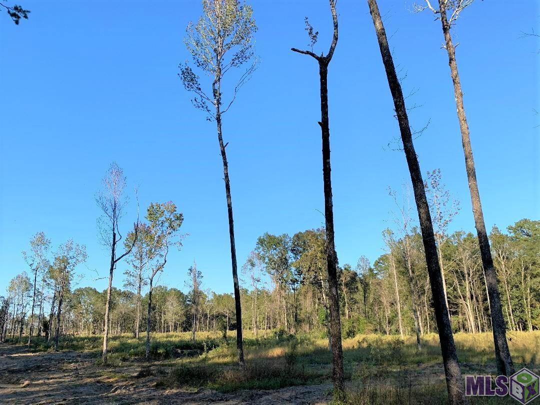 1 East La Highway Clinton, LA 70722 - Photo 4 of 9