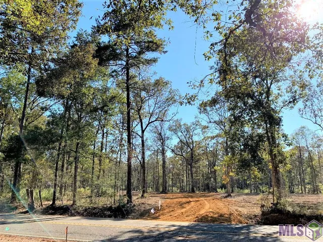 $67,000 | 1 East La Highway, Clinton, LA 70722