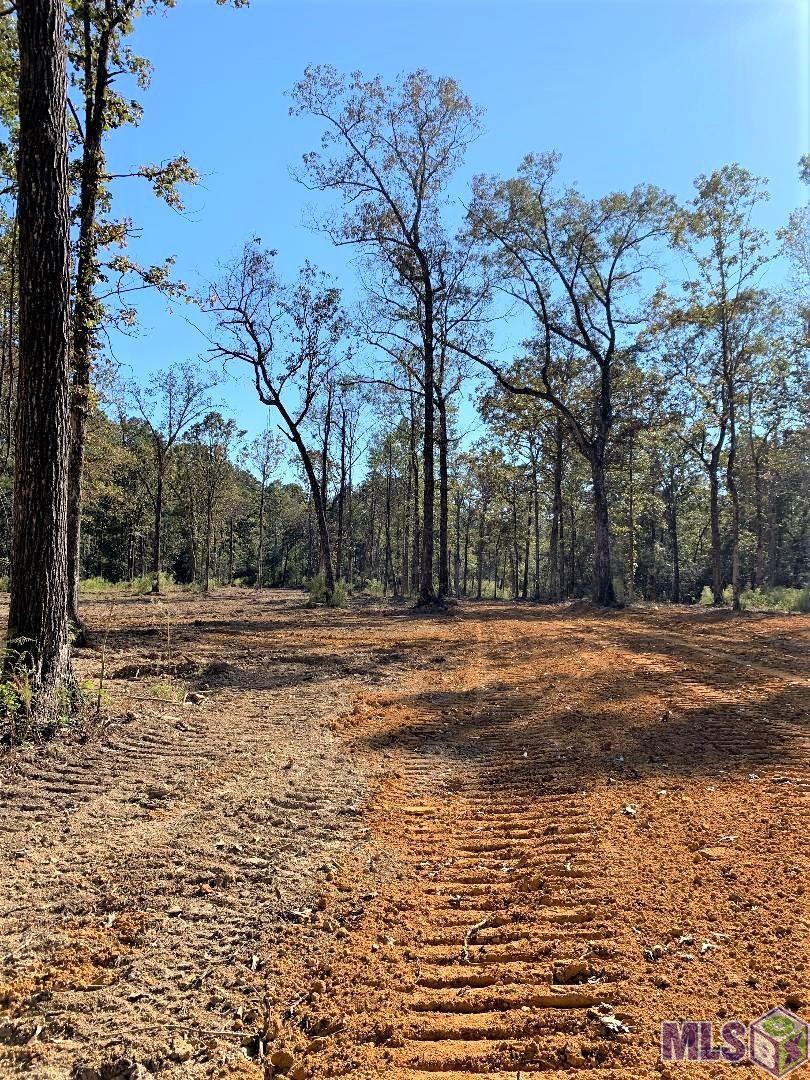 1 East La Highway Clinton, LA 70722 - Photo 8 of 9