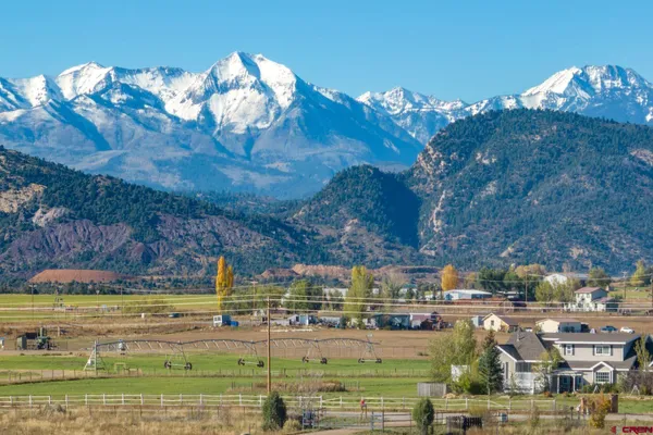 a view of a swimming pool with a yard