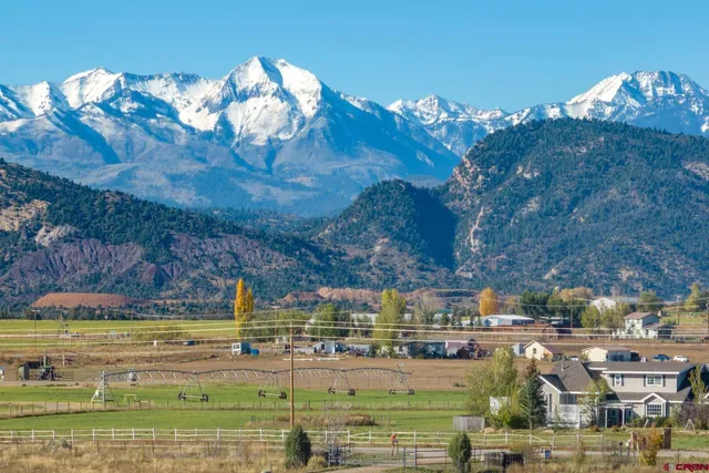 a view of a swimming pool with a yard