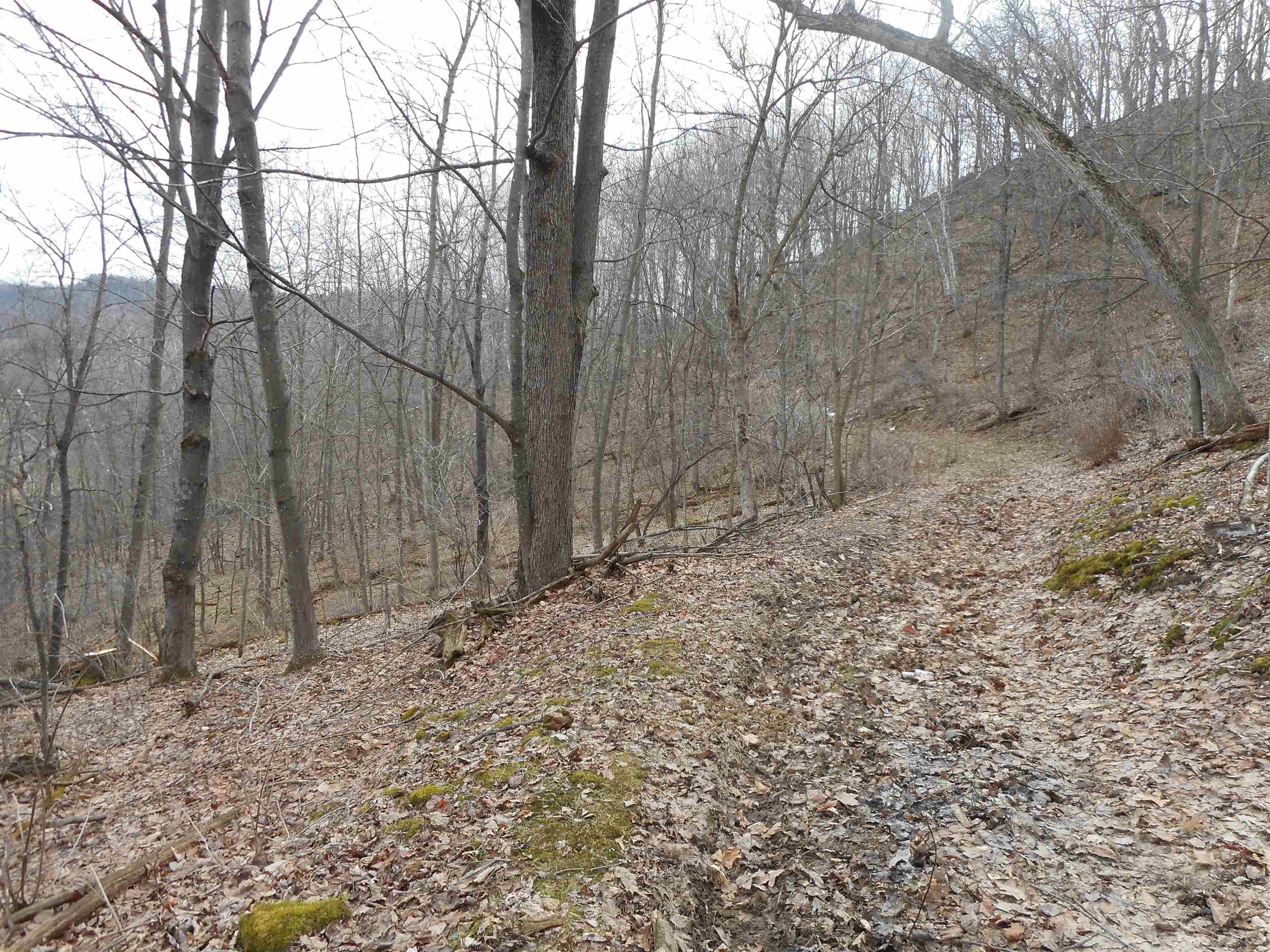 24503 Livingston Road Wilton, WI 54670 - Photo 1 of 48