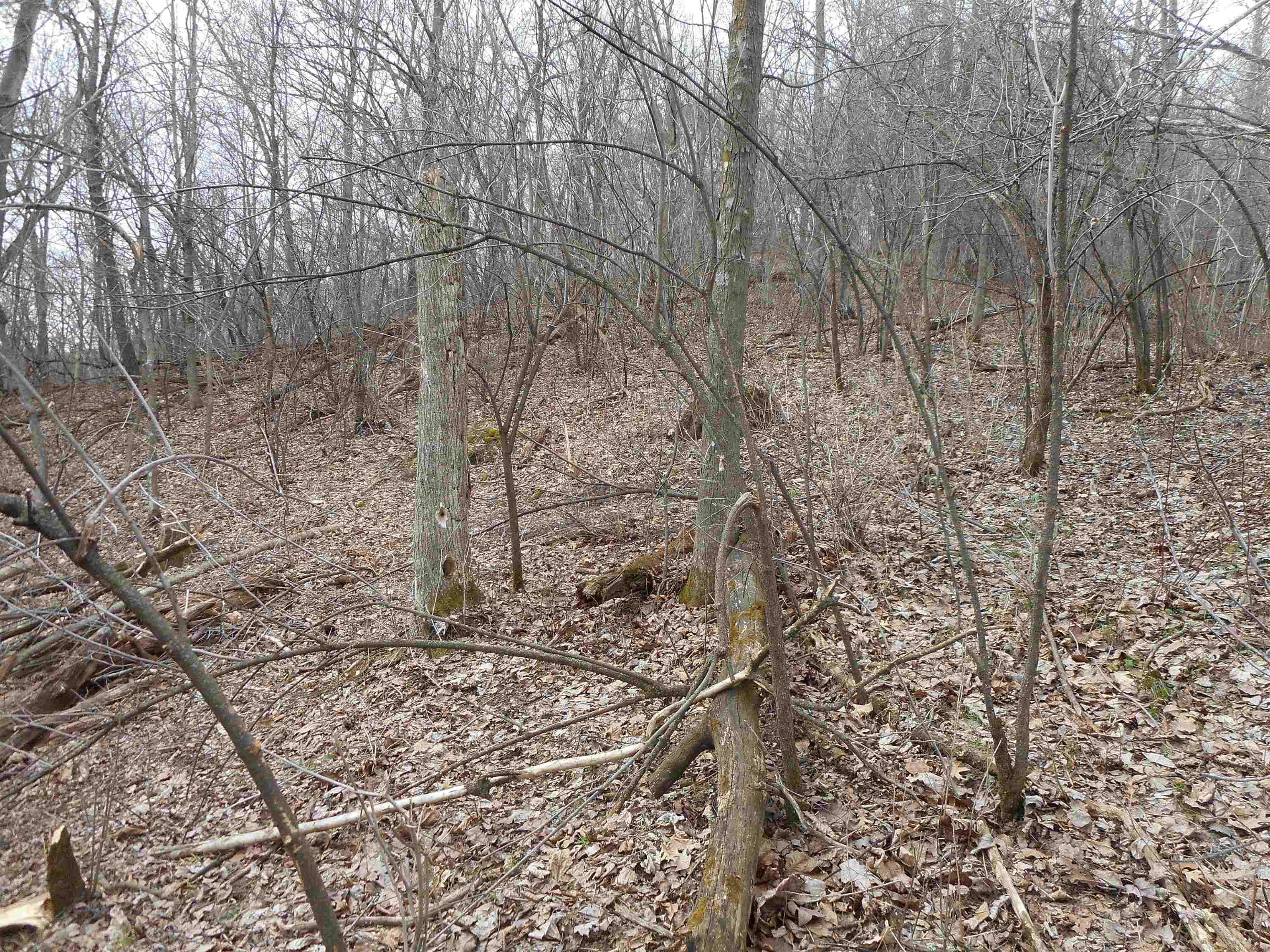 24503 Livingston Road Wilton, WI 54670 - Photo 11 of 48