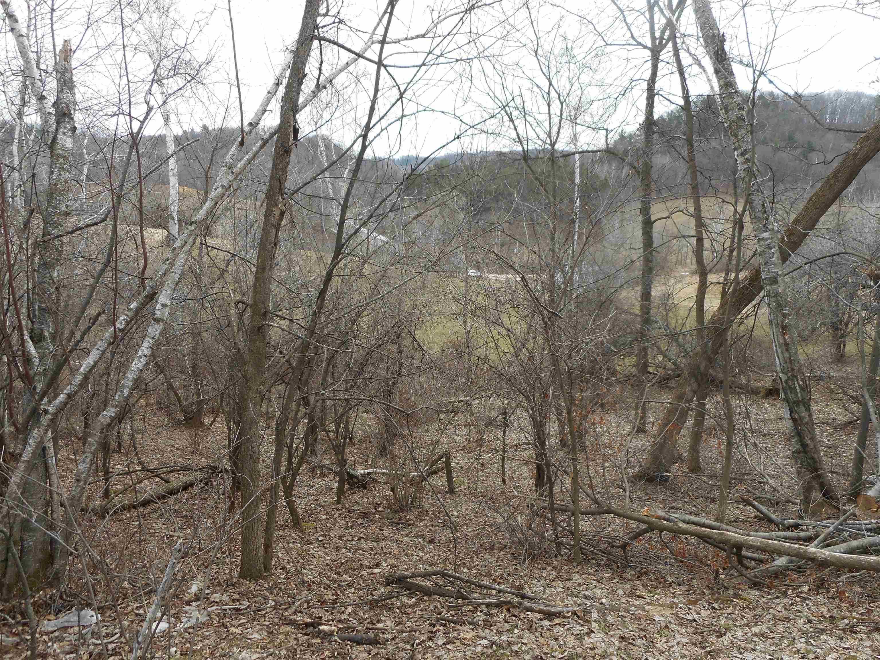 24503 Livingston Road Wilton, WI 54670 - Photo 12 of 48