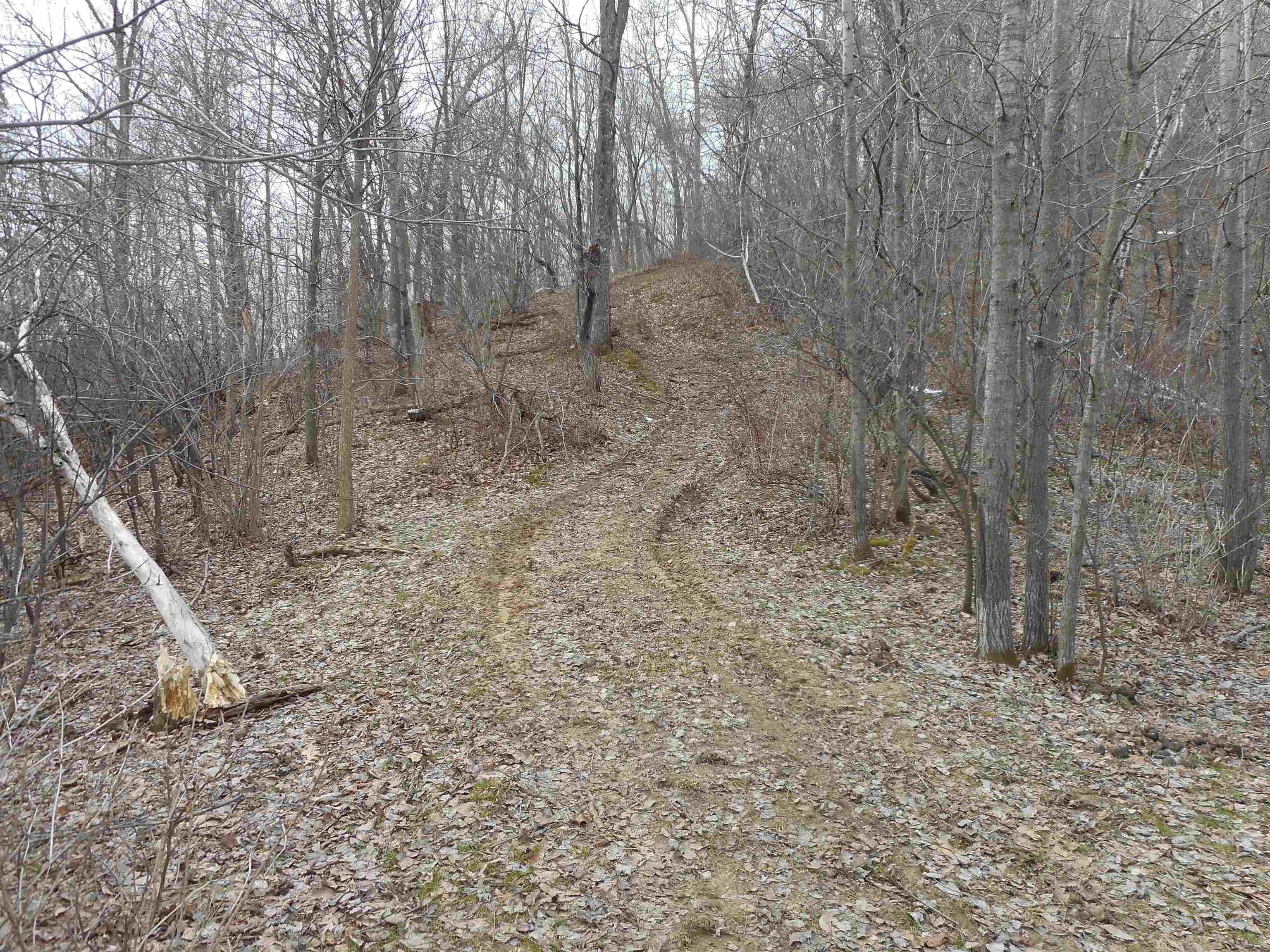 24503 Livingston Road Wilton, WI 54670 - Photo 13 of 48