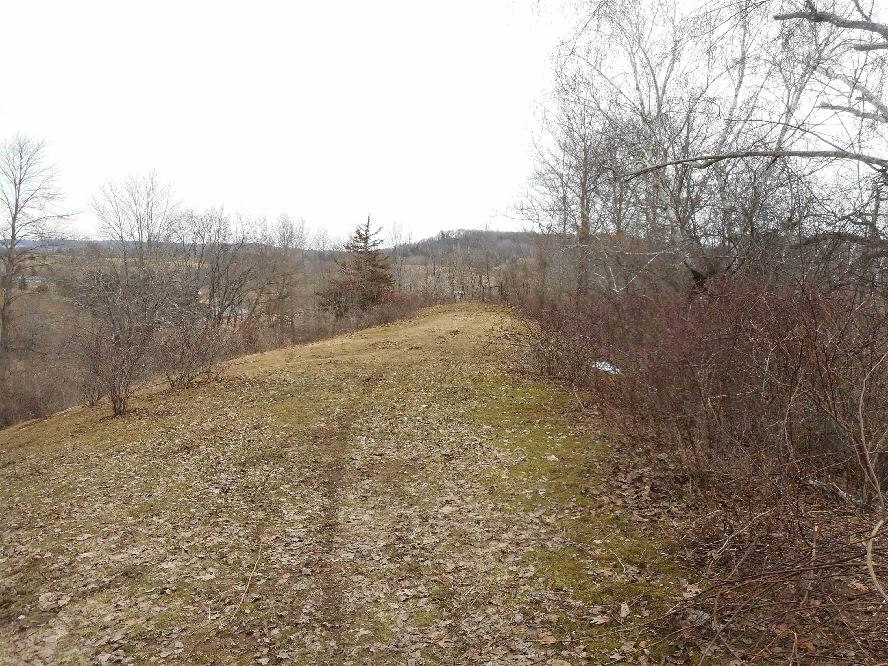 24503 Livingston Road Wilton, WI 54670 - Photo 14 of 48