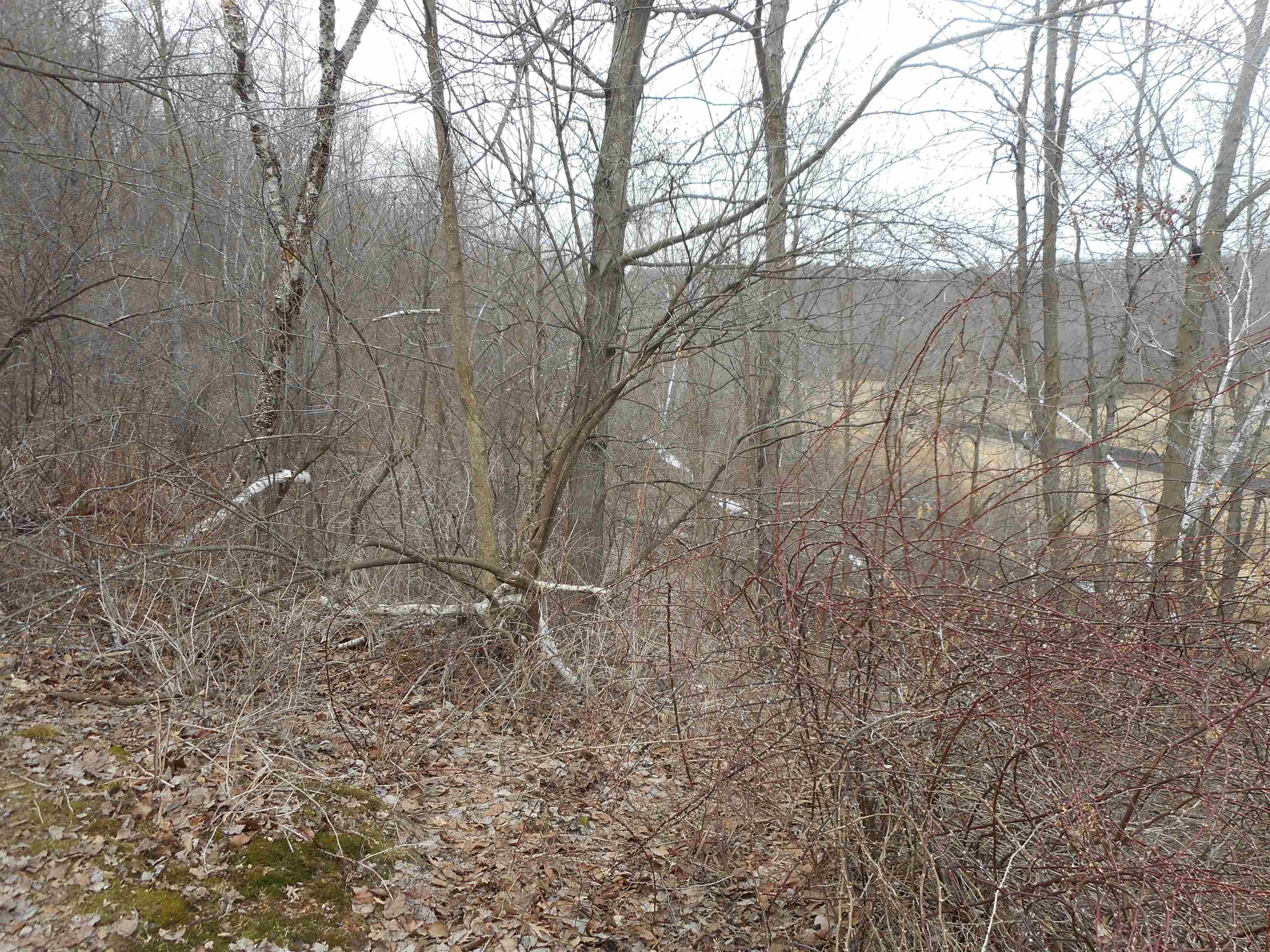 24503 Livingston Road Wilton, WI 54670 - Photo 15 of 48