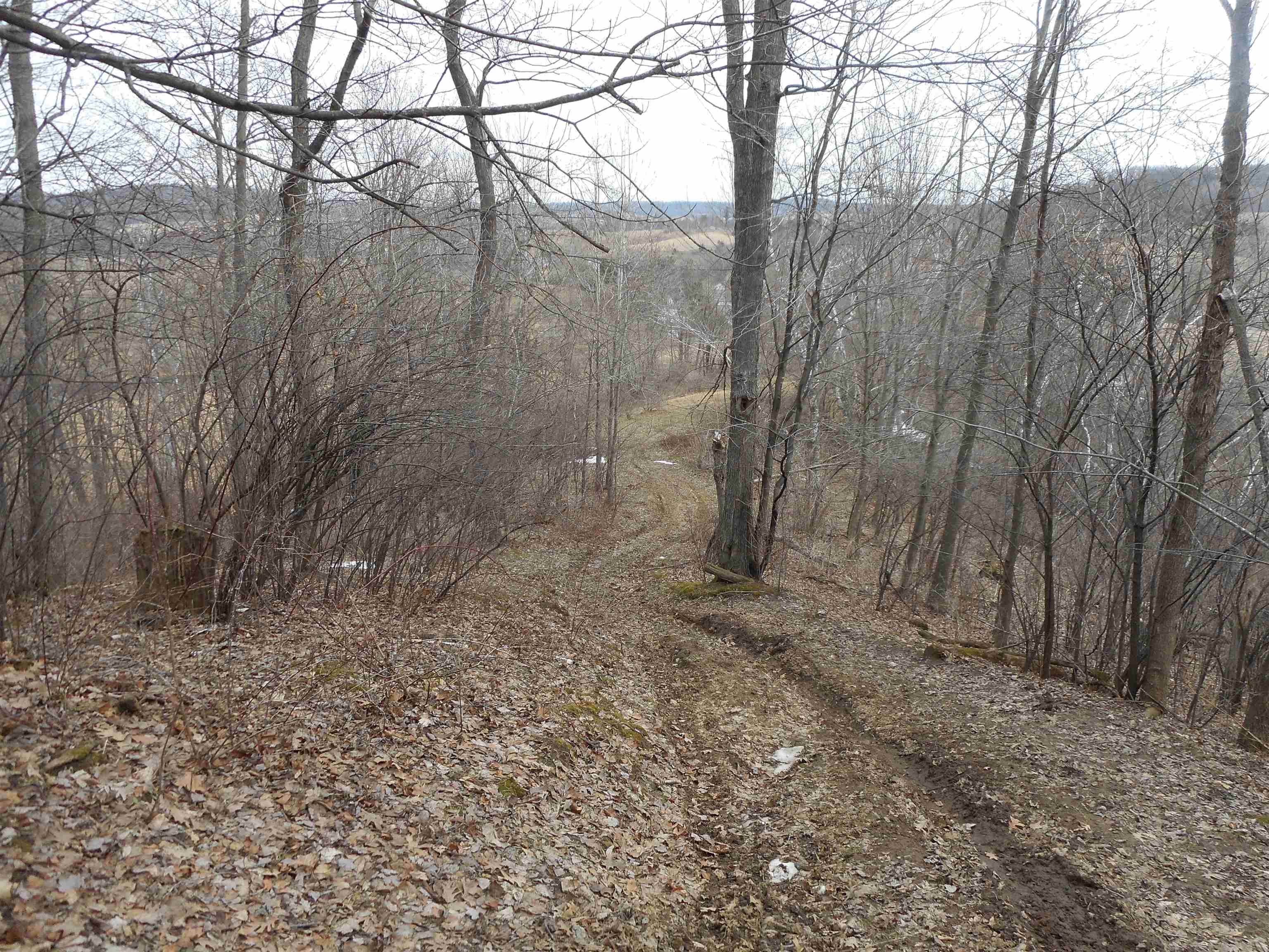 24503 Livingston Road Wilton, WI 54670 - Photo 16 of 48