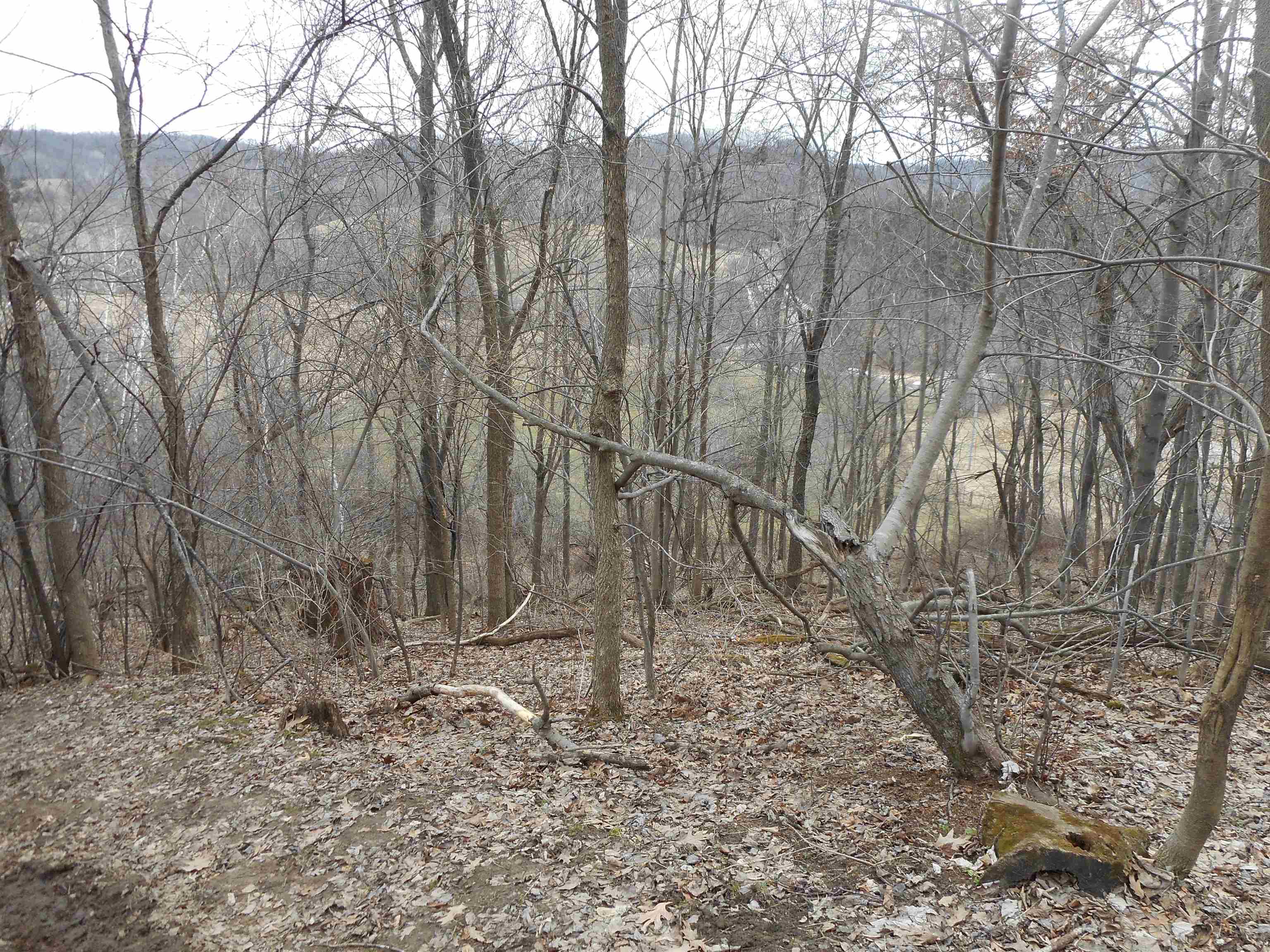 24503 Livingston Road Wilton, WI 54670 - Photo 17 of 48