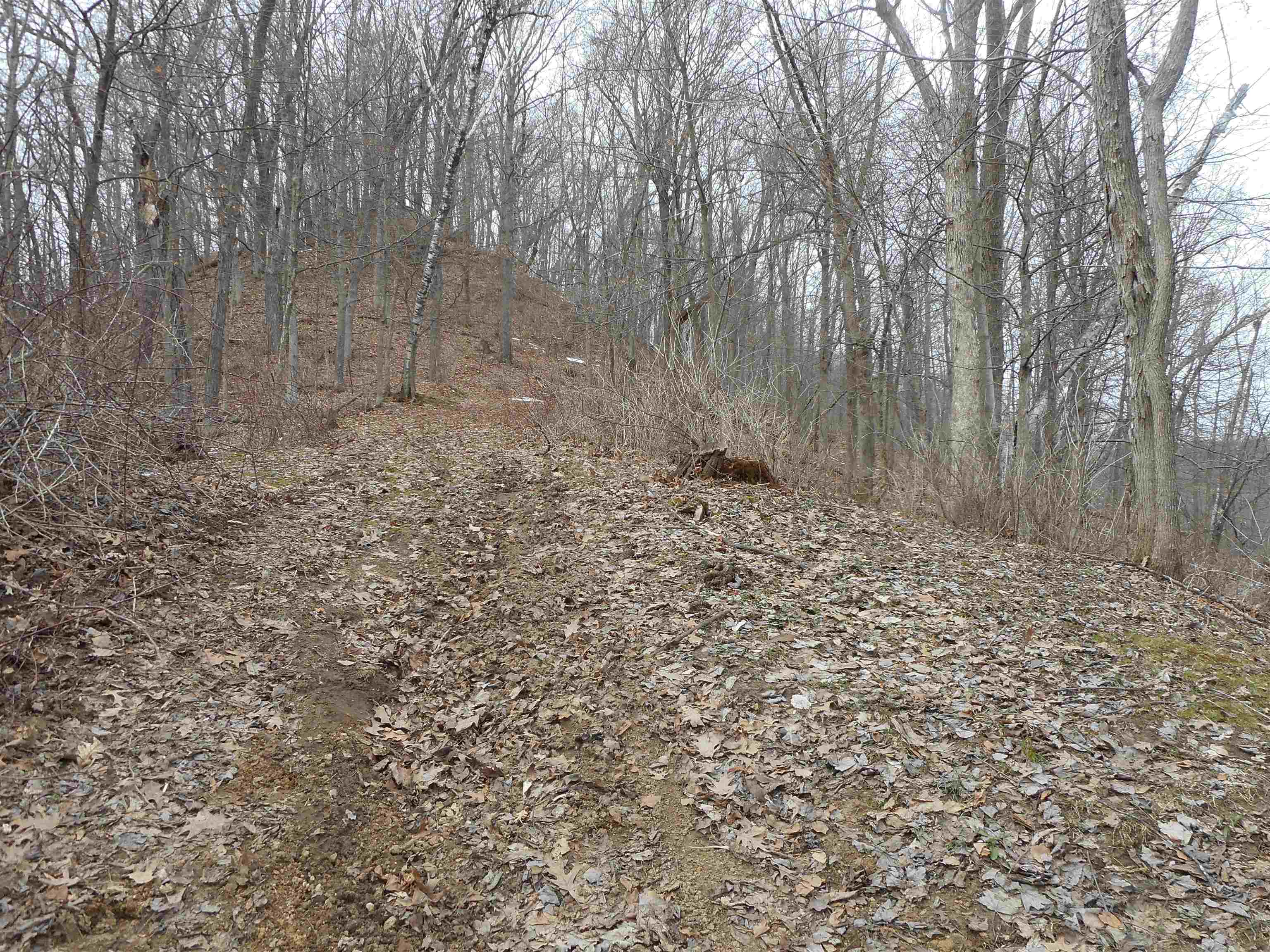 24503 Livingston Road Wilton, WI 54670 - Photo 18 of 48