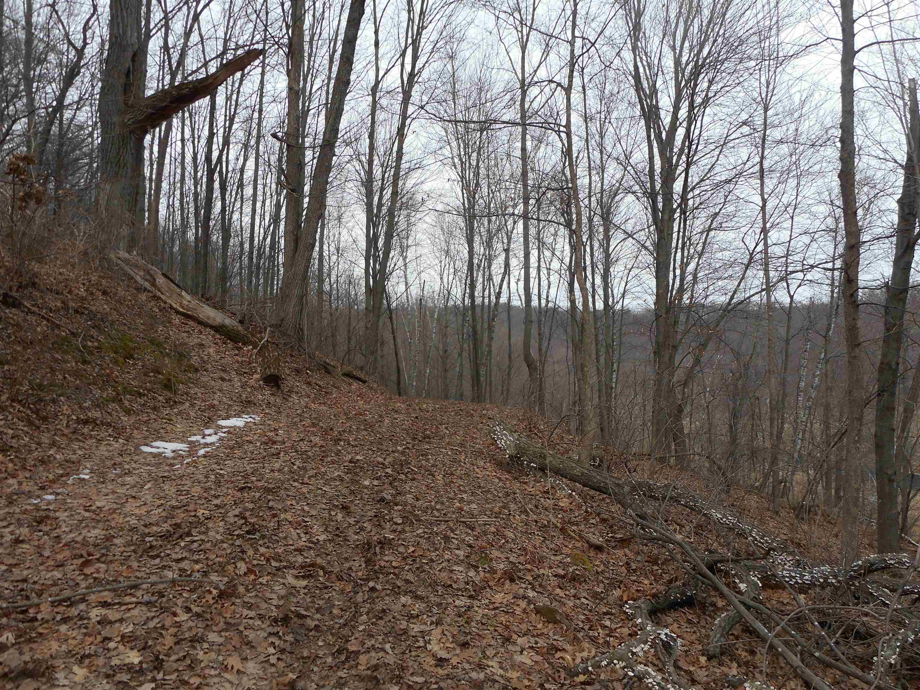 24503 Livingston Road Wilton, WI 54670 - Photo 19 of 48