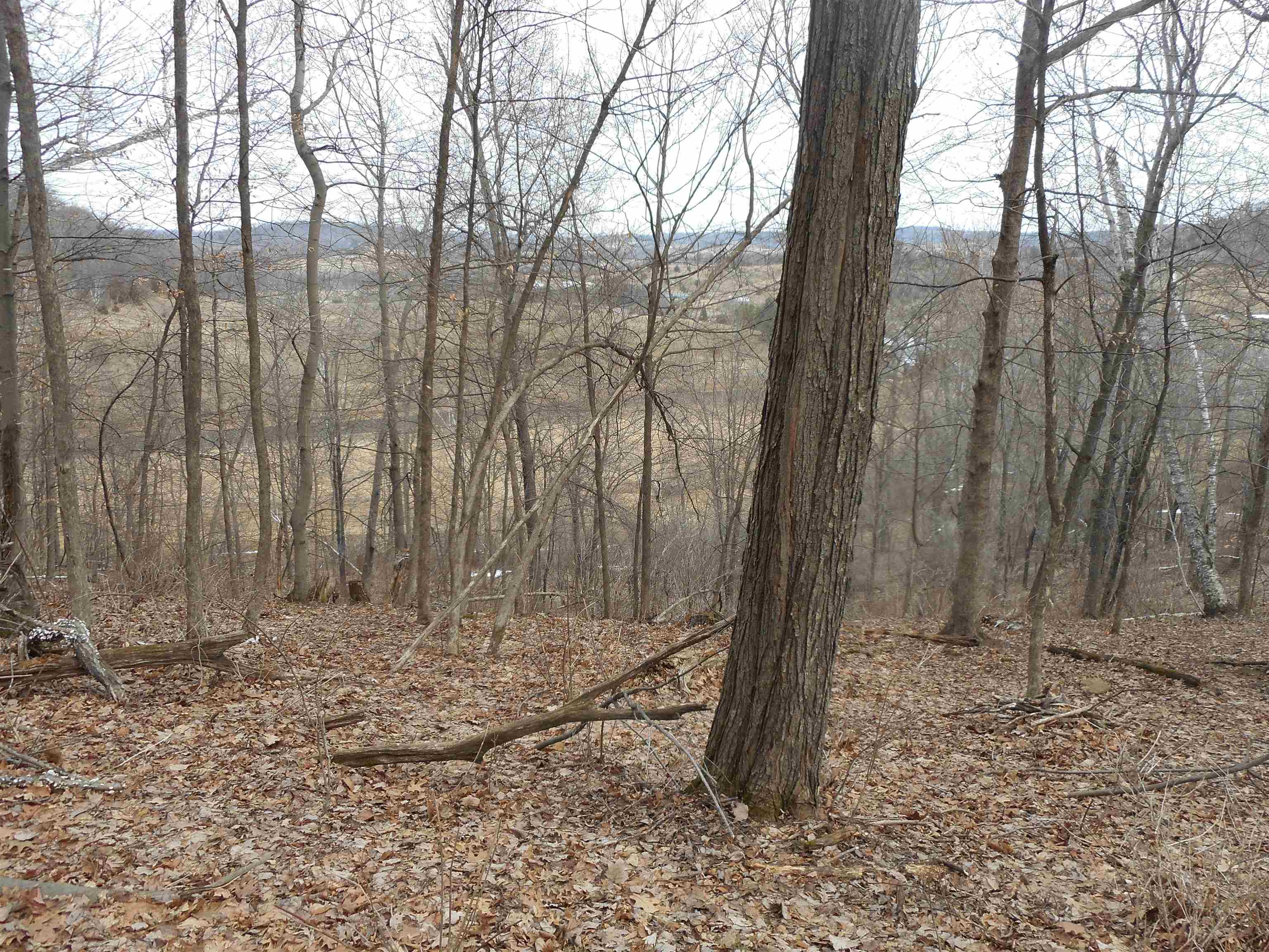 24503 Livingston Road Wilton, WI 54670 - Photo 20 of 48