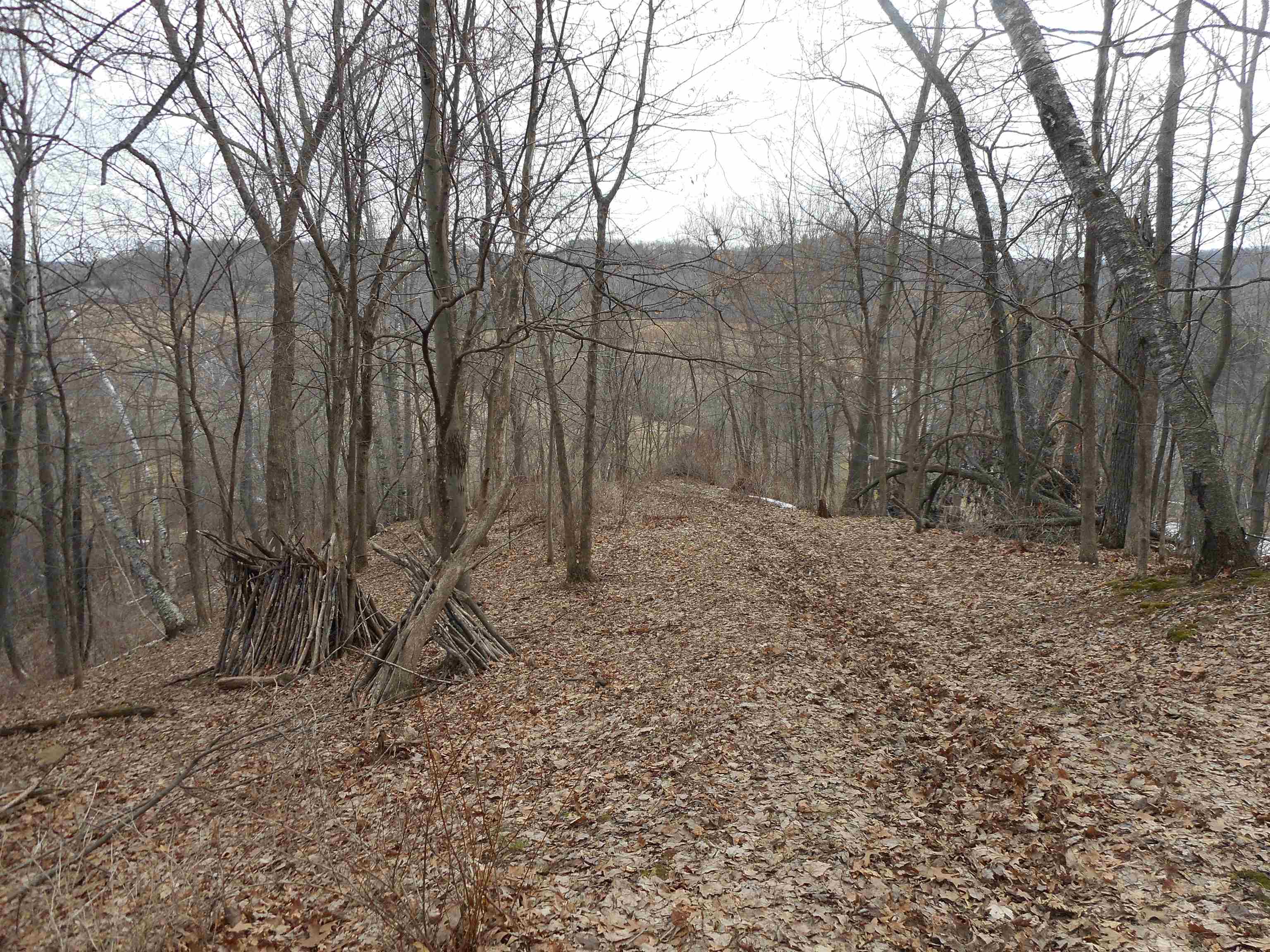 24503 Livingston Road Wilton, WI 54670 - Photo 21 of 48