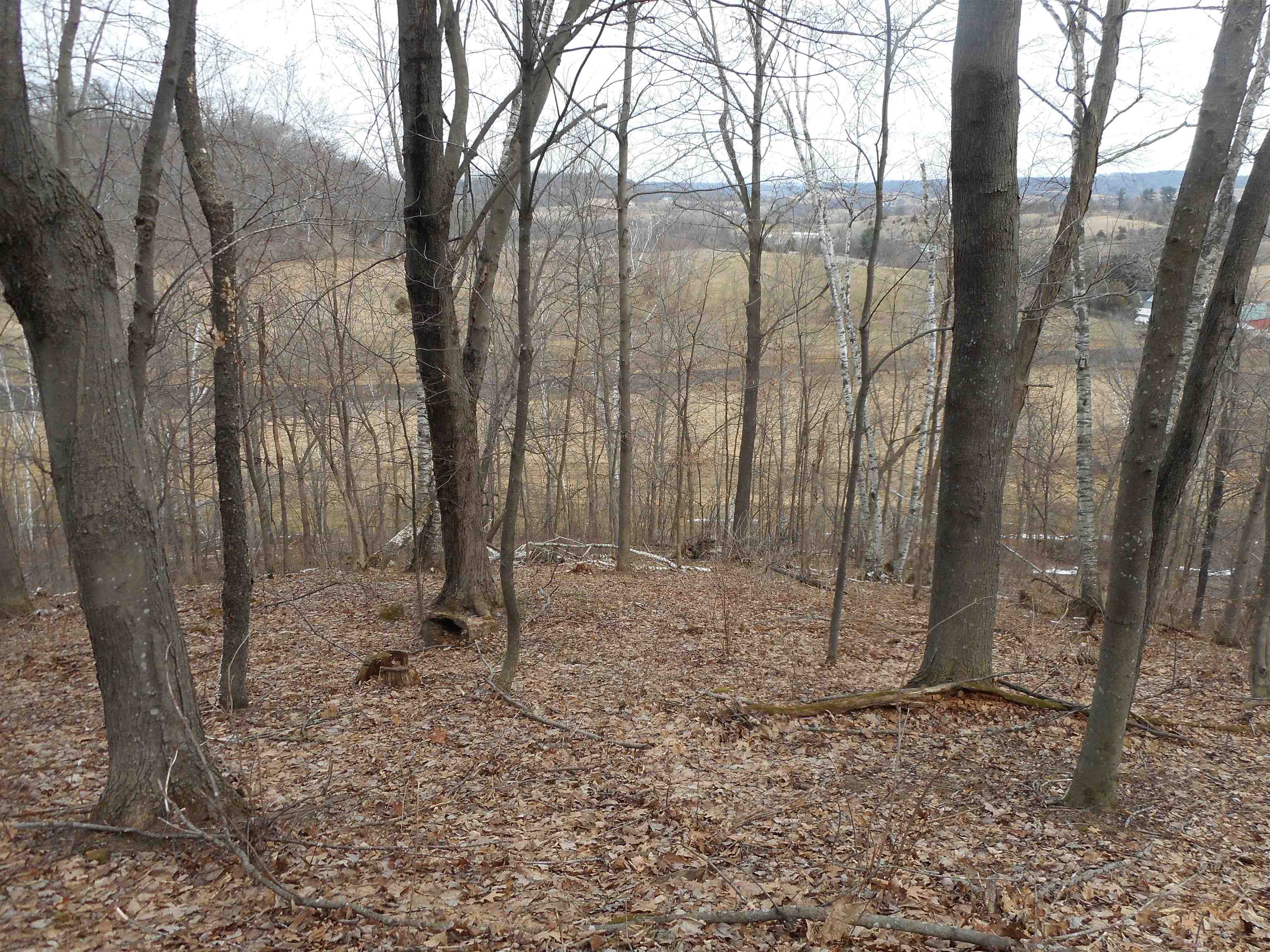 24503 Livingston Road Wilton, WI 54670 - Photo 23 of 48