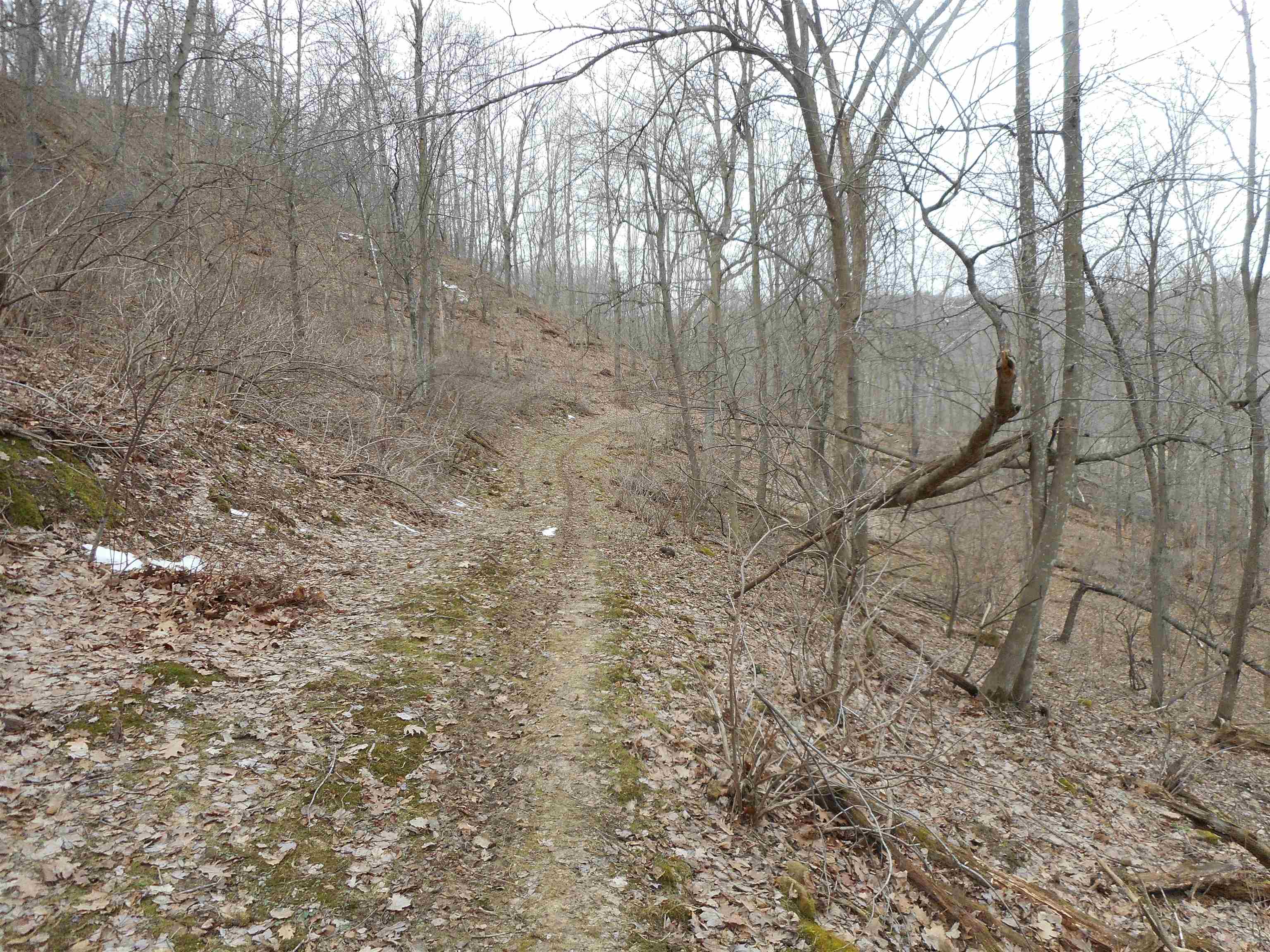 24503 Livingston Road Wilton, WI 54670 - Photo 24 of 48