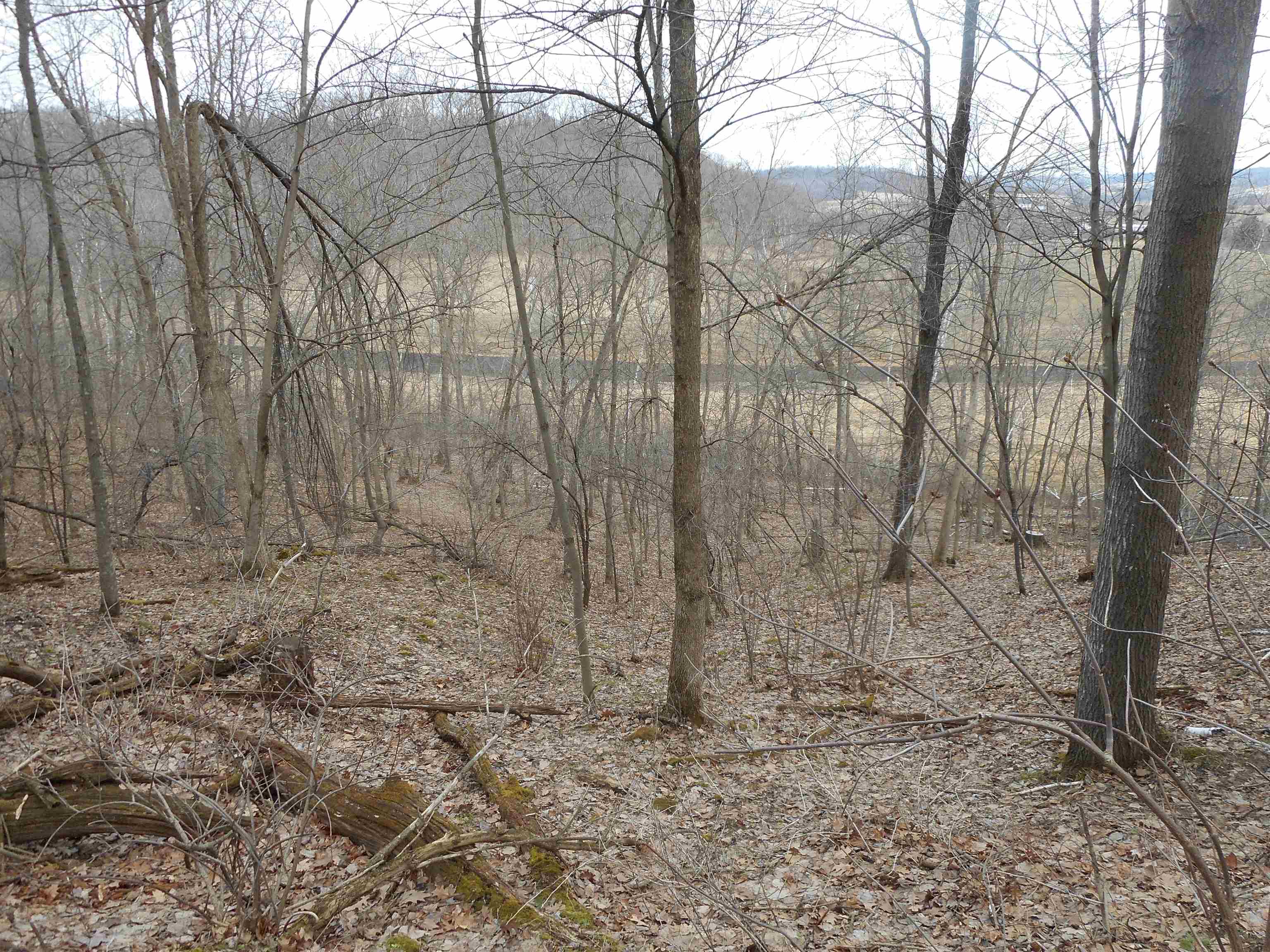 24503 Livingston Road Wilton, WI 54670 - Photo 25 of 48