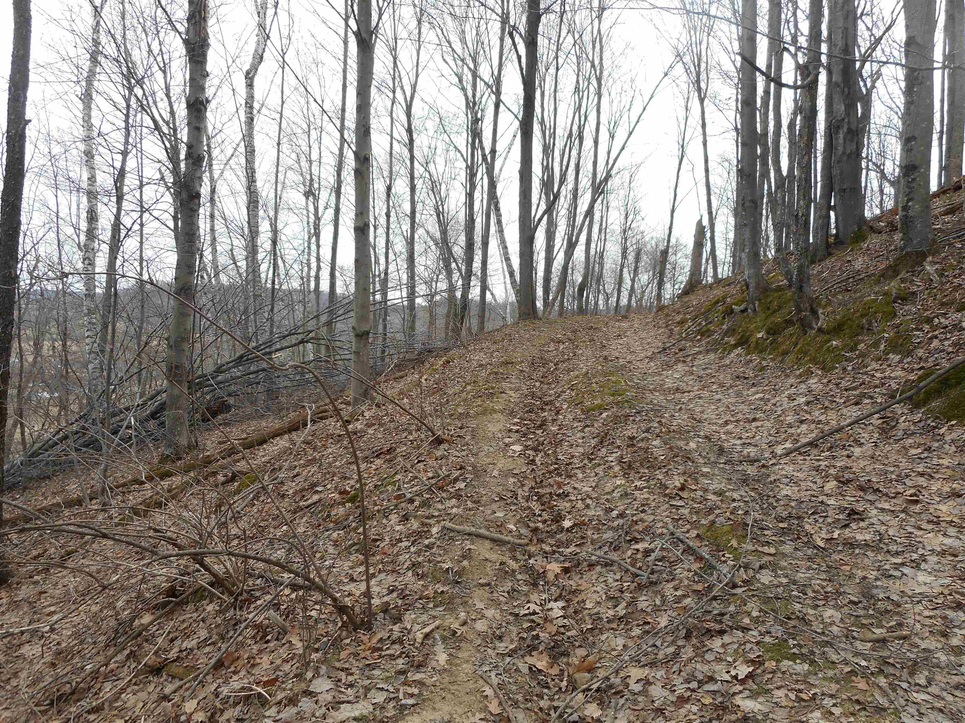 24503 Livingston Road Wilton, WI 54670 - Photo 26 of 48