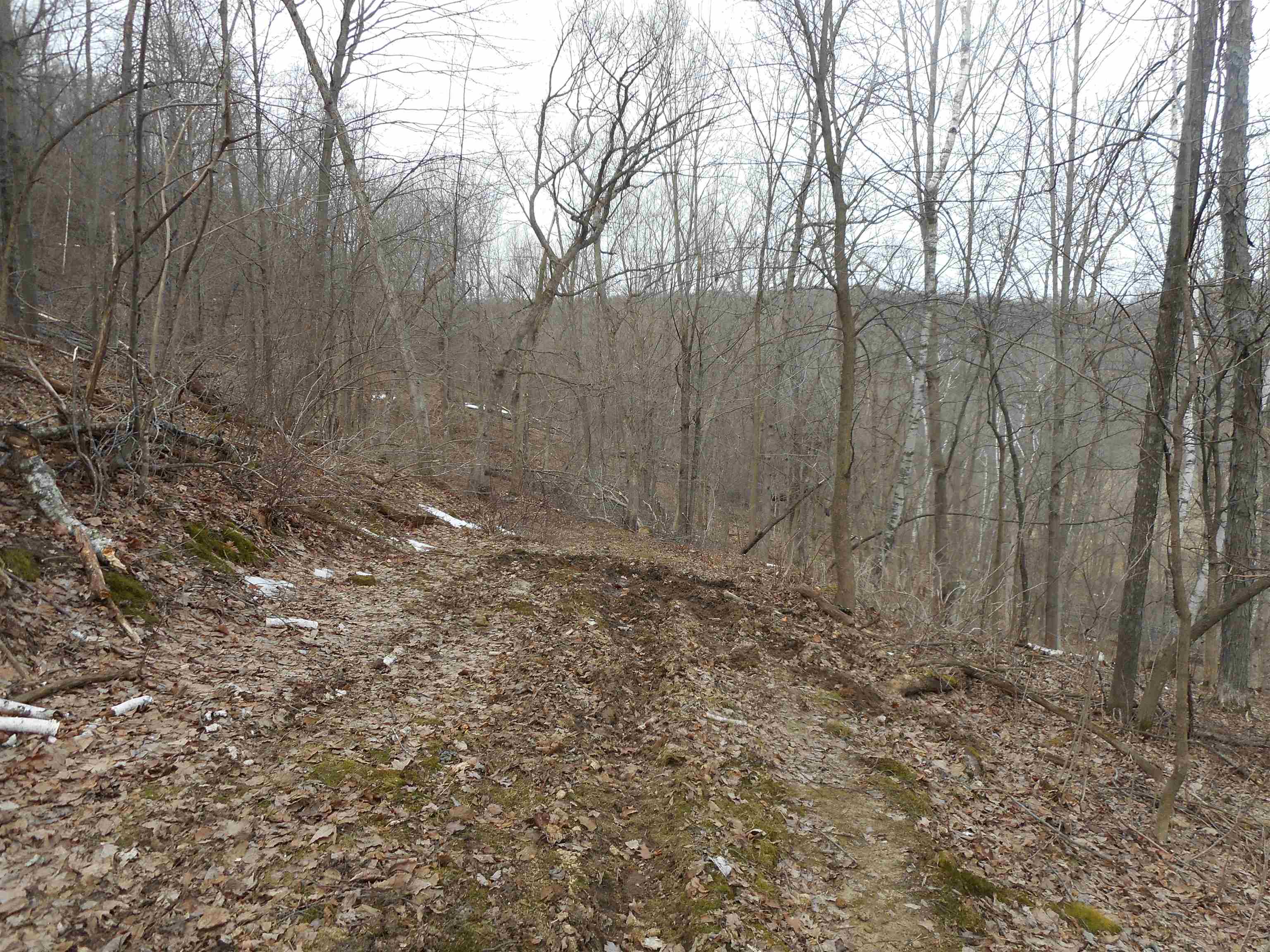 24503 Livingston Road Wilton, WI 54670 - Photo 27 of 48