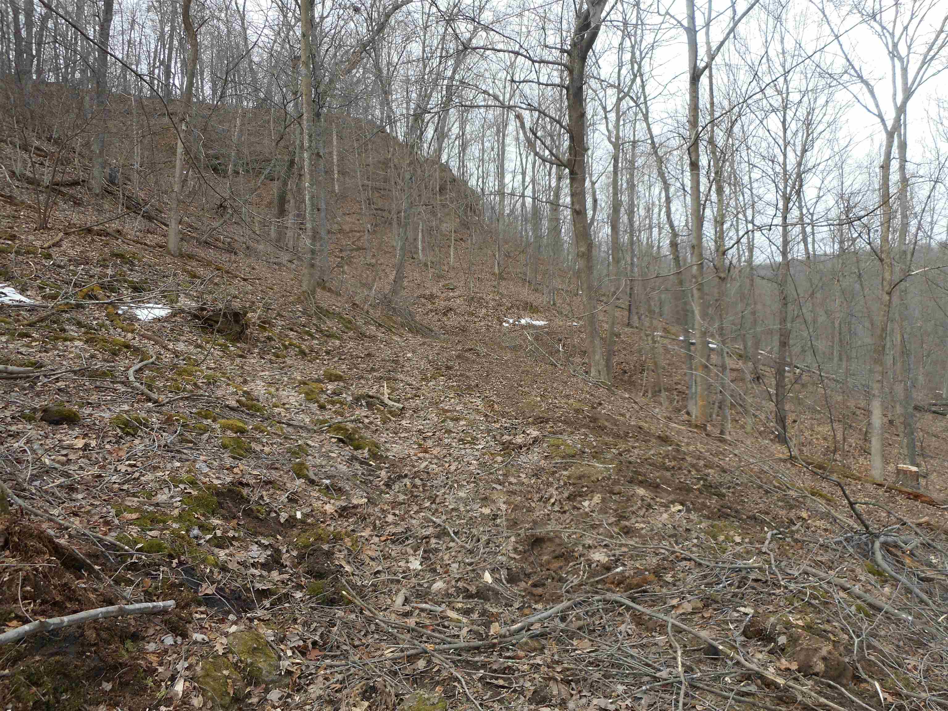 24503 Livingston Road Wilton, WI 54670 - Photo 29 of 48