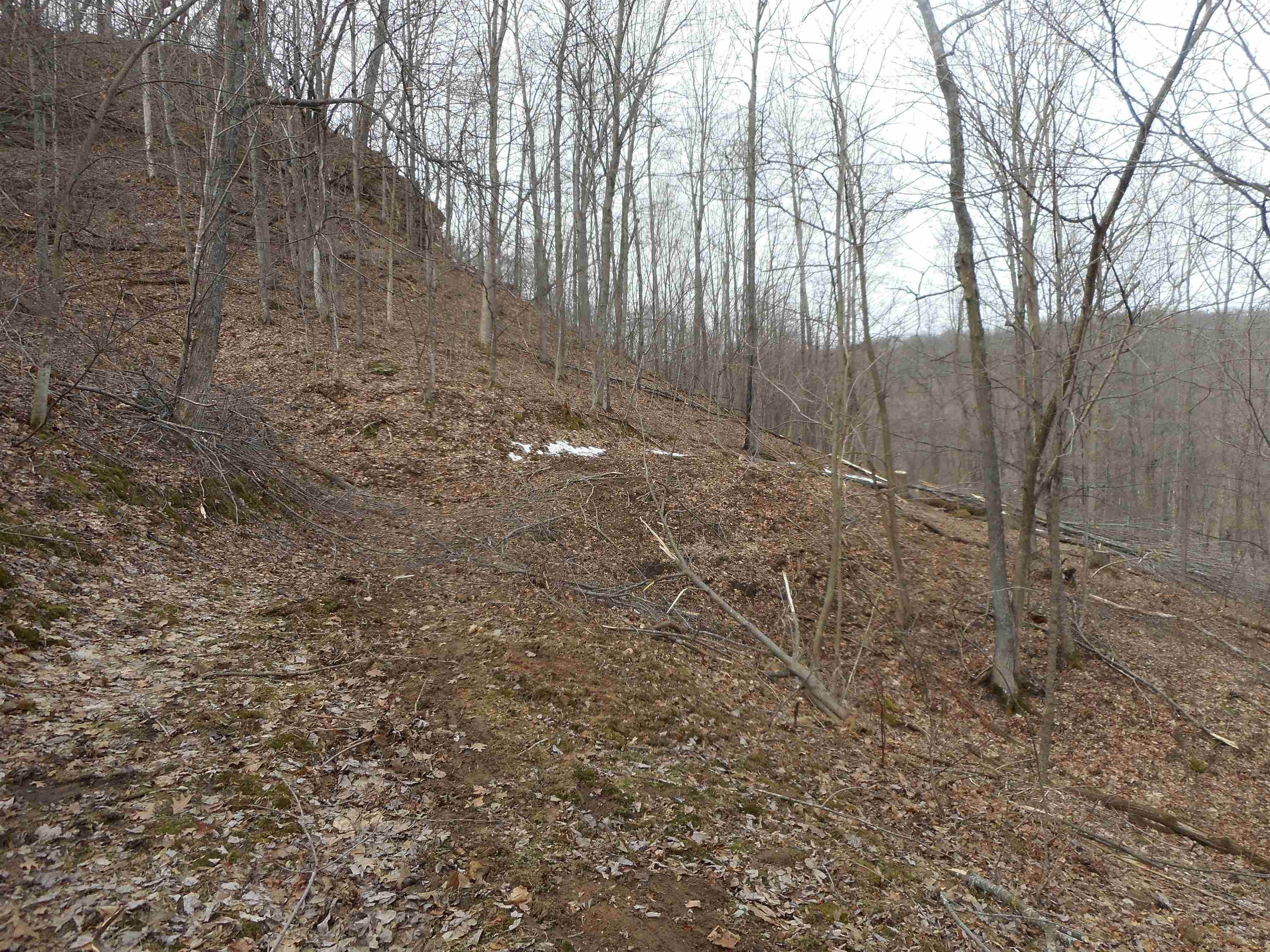 24503 Livingston Road Wilton, WI 54670 - Photo 30 of 48