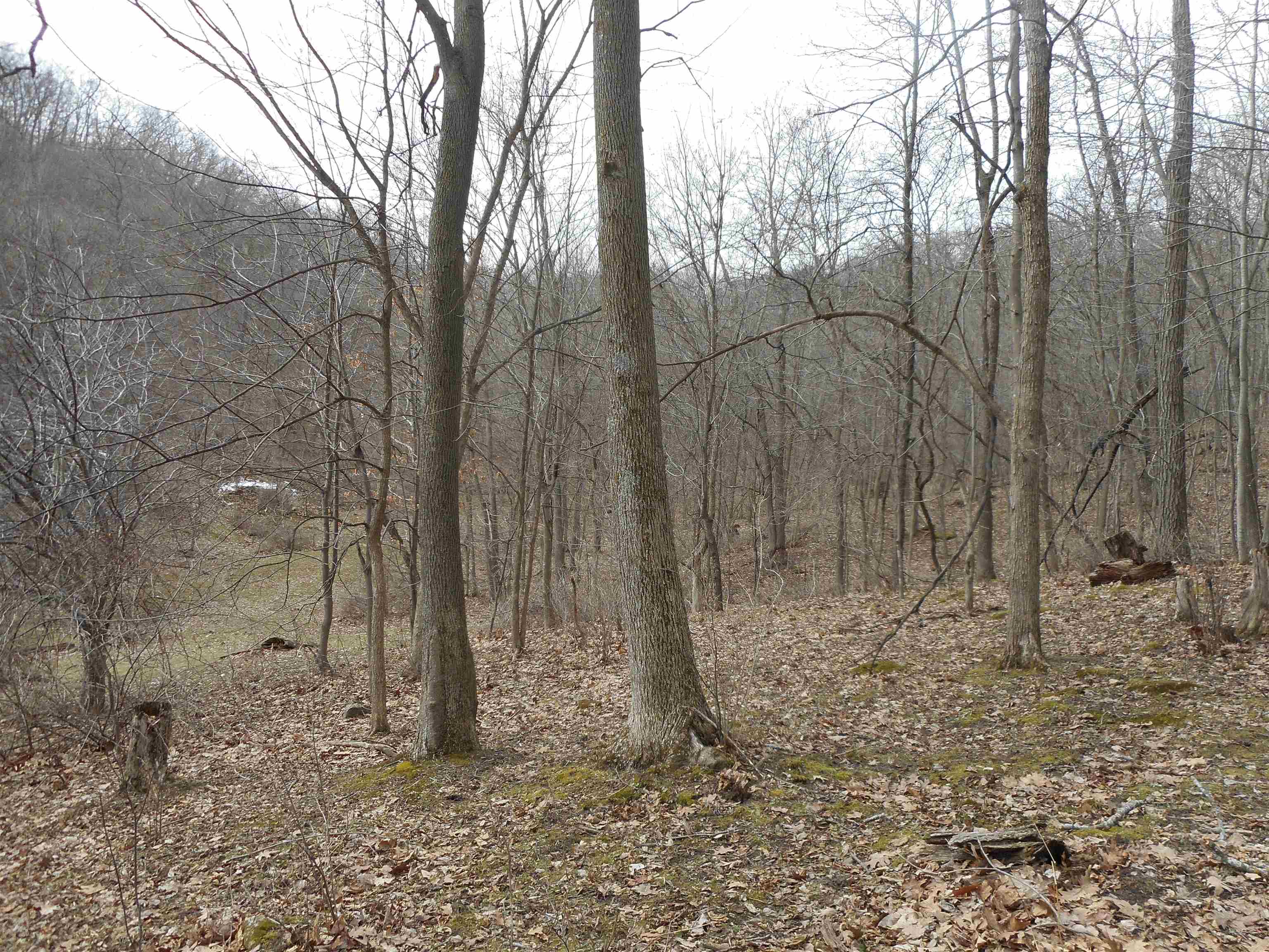 24503 Livingston Road Wilton, WI 54670 - Photo 3 of 48