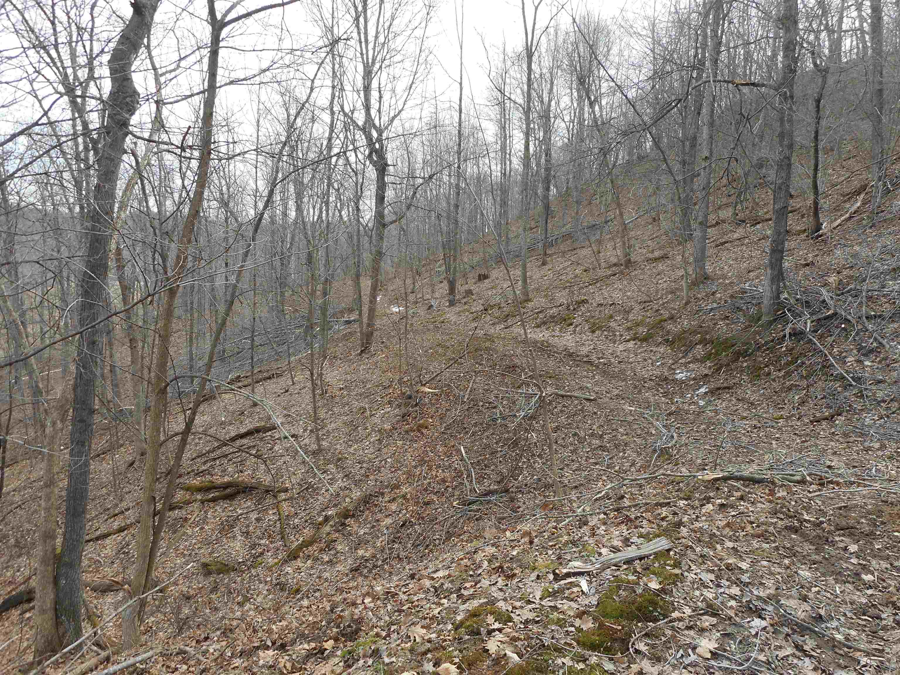 24503 Livingston Road Wilton, WI 54670 - Photo 32 of 48