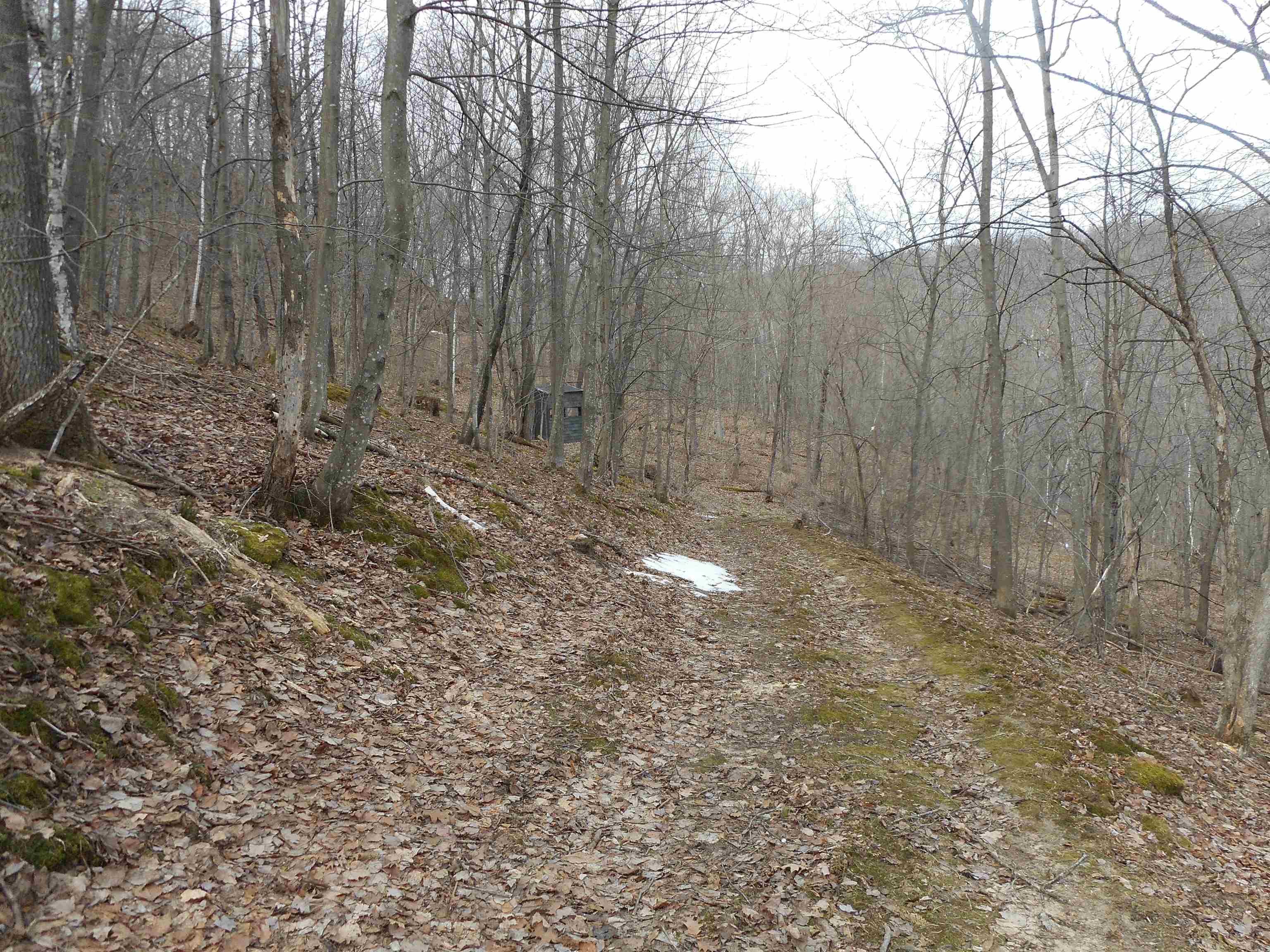 24503 Livingston Road Wilton, WI 54670 - Photo 33 of 48