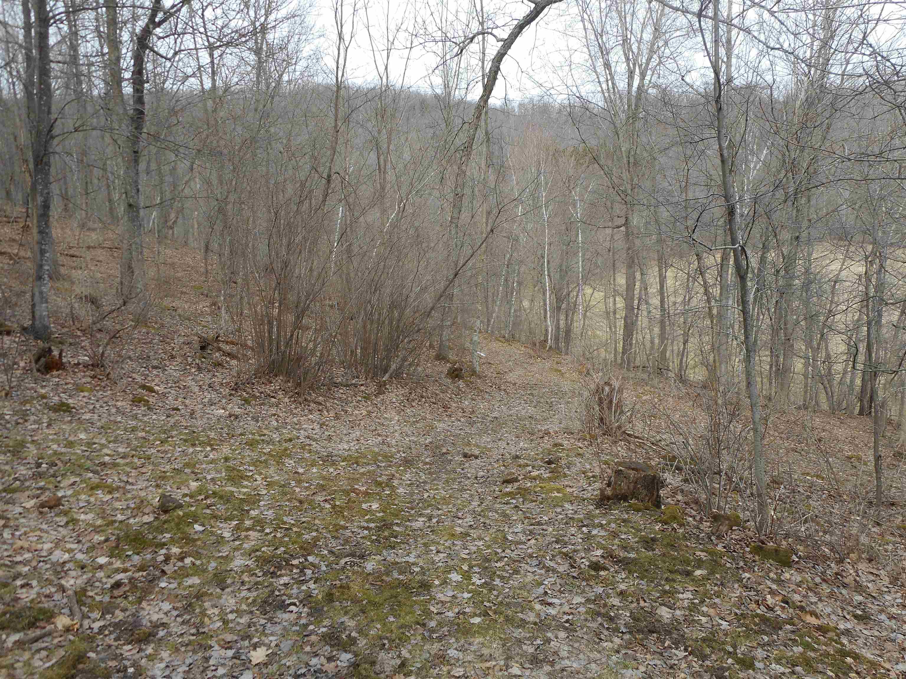 24503 Livingston Road Wilton, WI 54670 - Photo 34 of 48