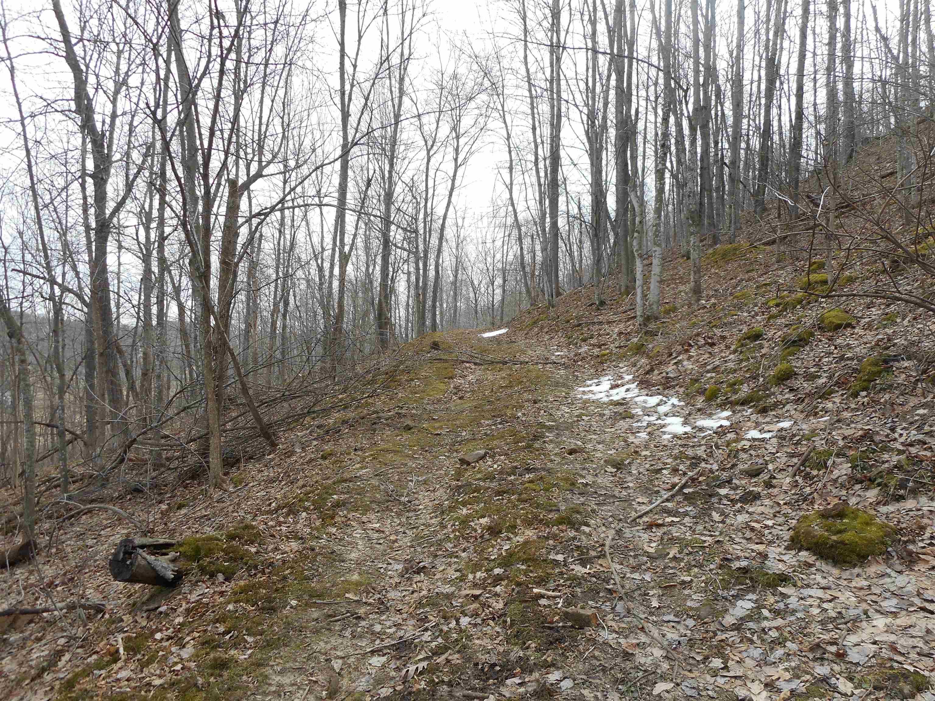 24503 Livingston Road Wilton, WI 54670 - Photo 35 of 48