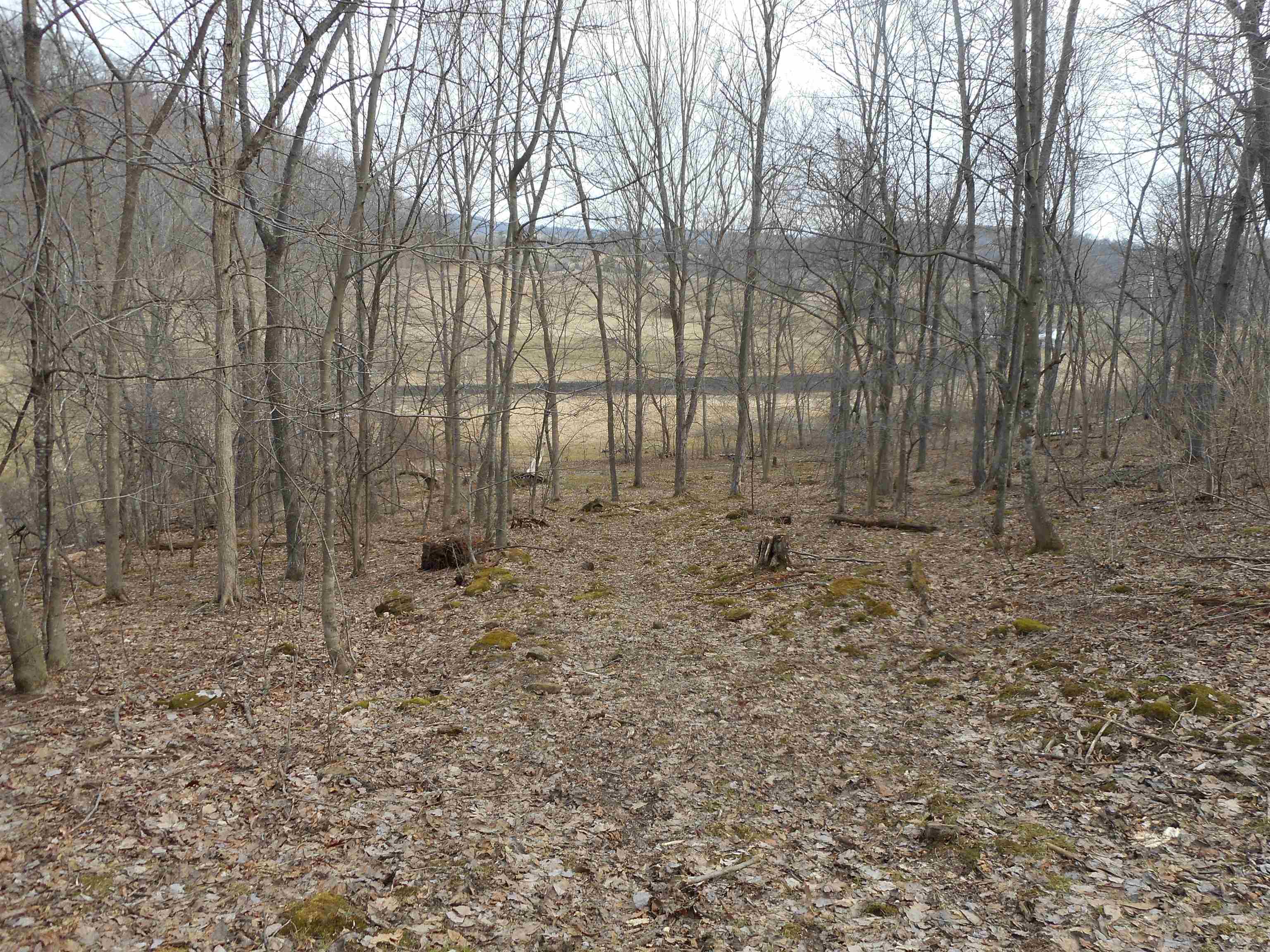 24503 Livingston Road Wilton, WI 54670 - Photo 36 of 48