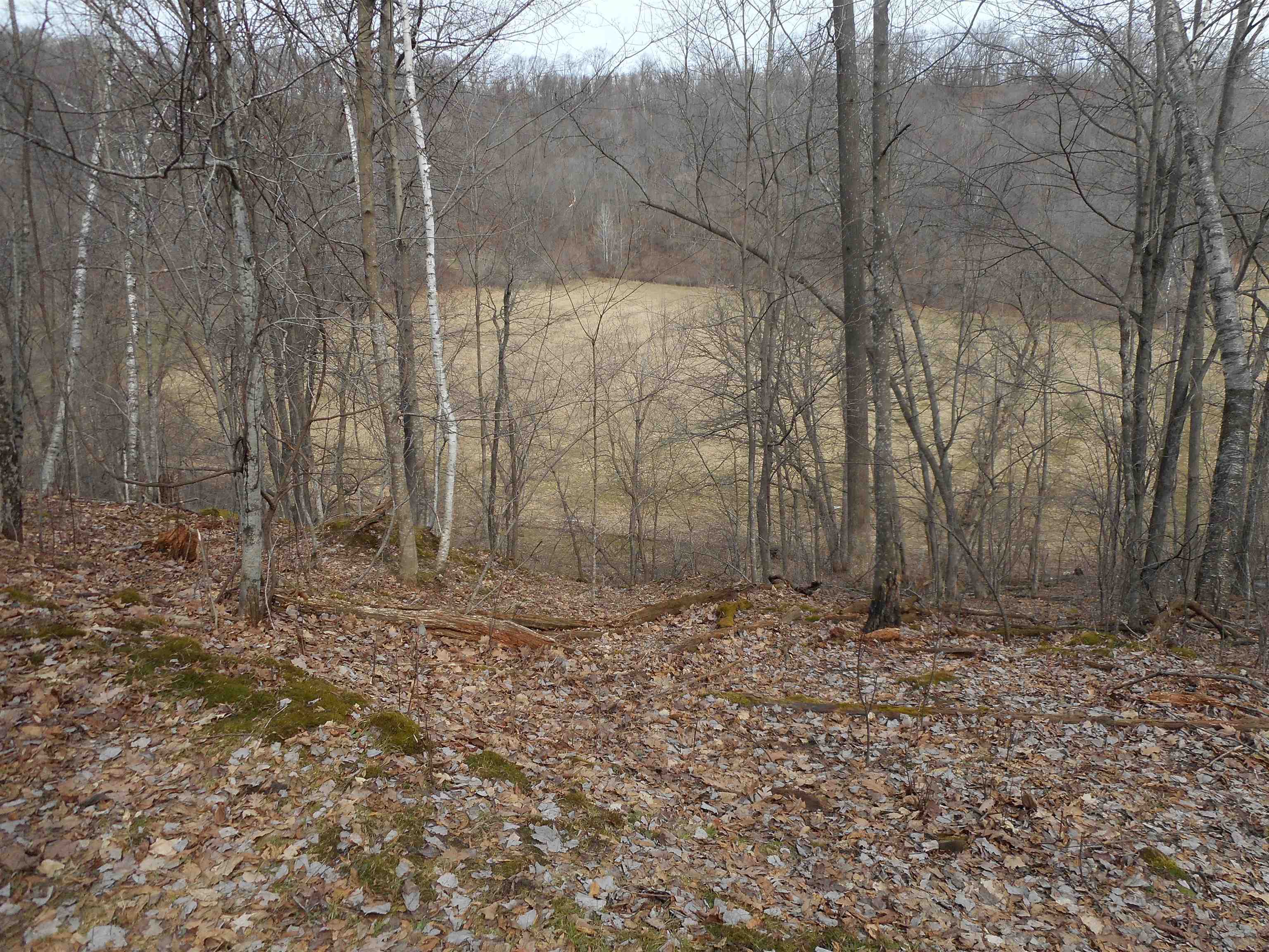 24503 Livingston Road Wilton, WI 54670 - Photo 37 of 48