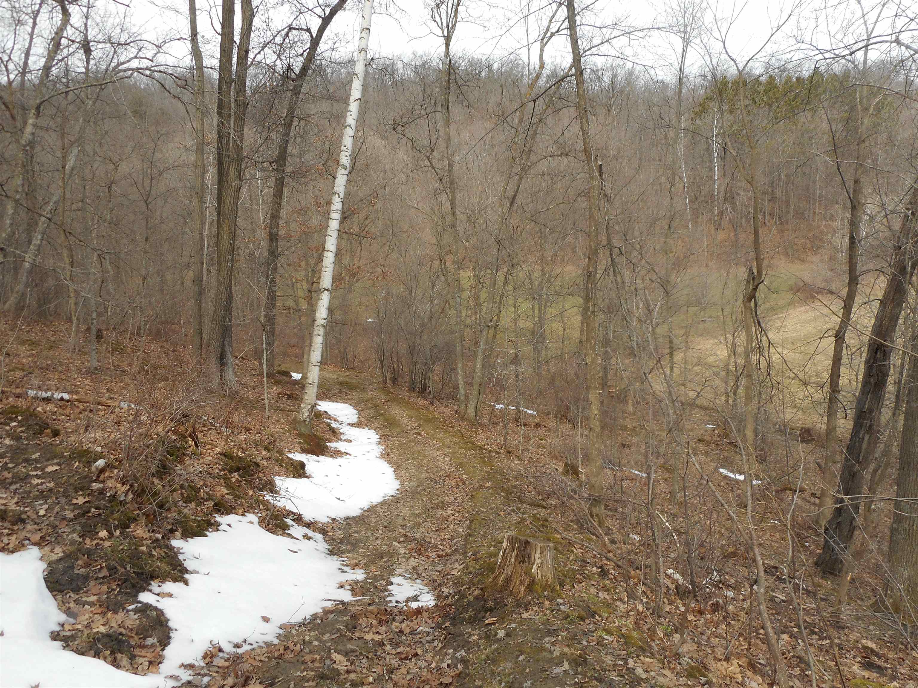 24503 Livingston Road Wilton, WI 54670 - Photo 38 of 48