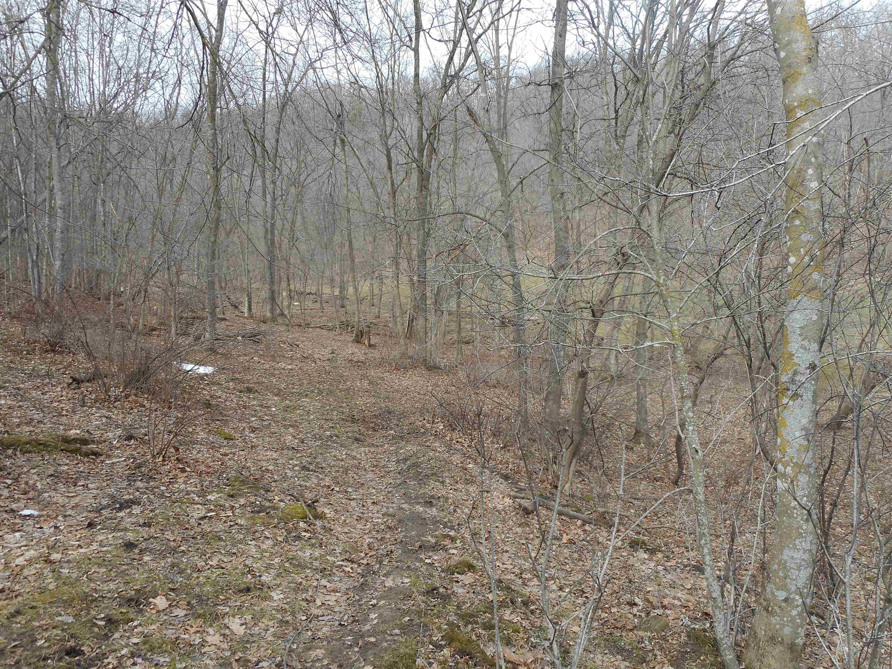 24503 Livingston Road Wilton, WI 54670 - Photo 39 of 48