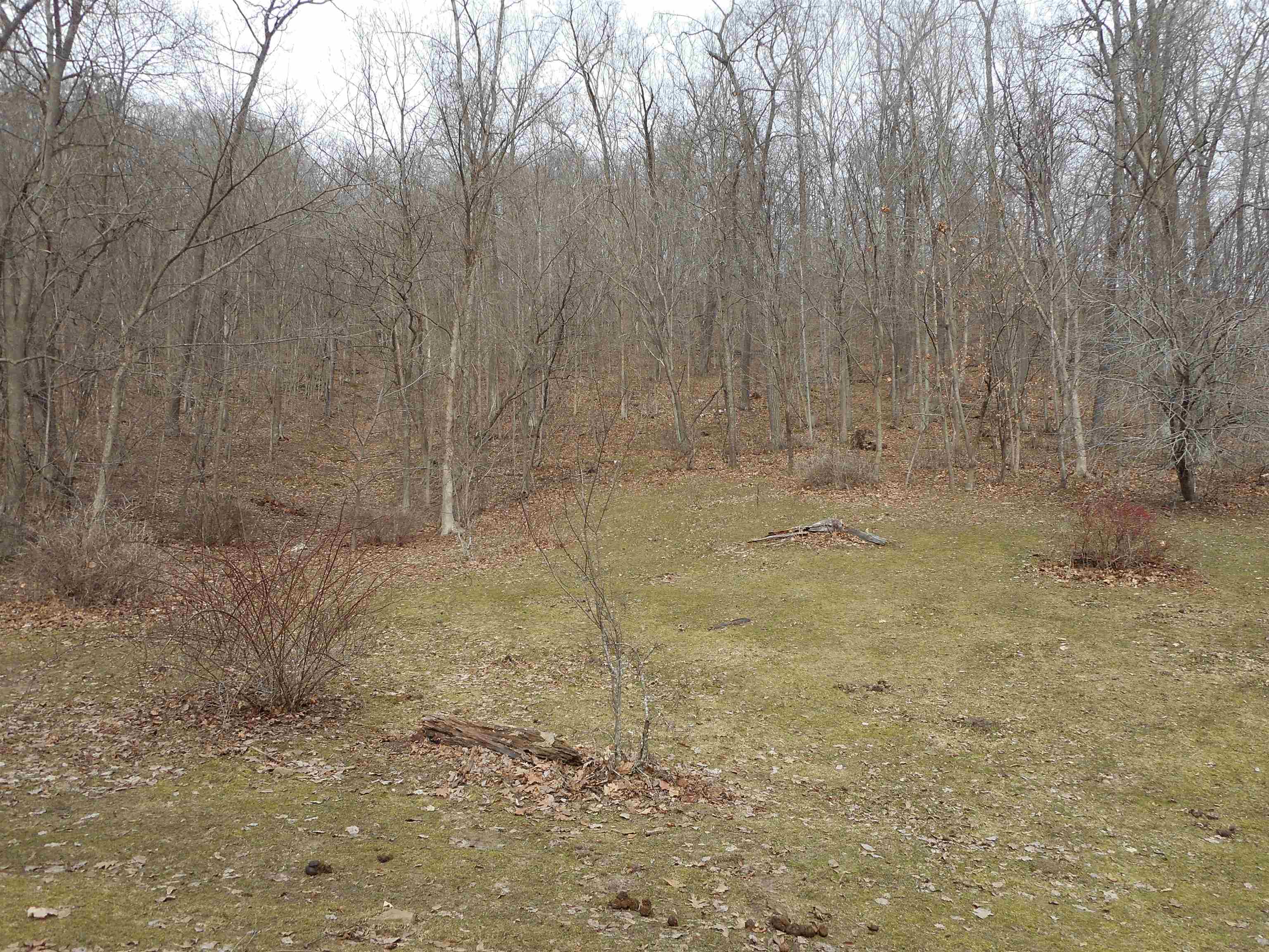 24503 Livingston Road Wilton, WI 54670 - Photo 41 of 48