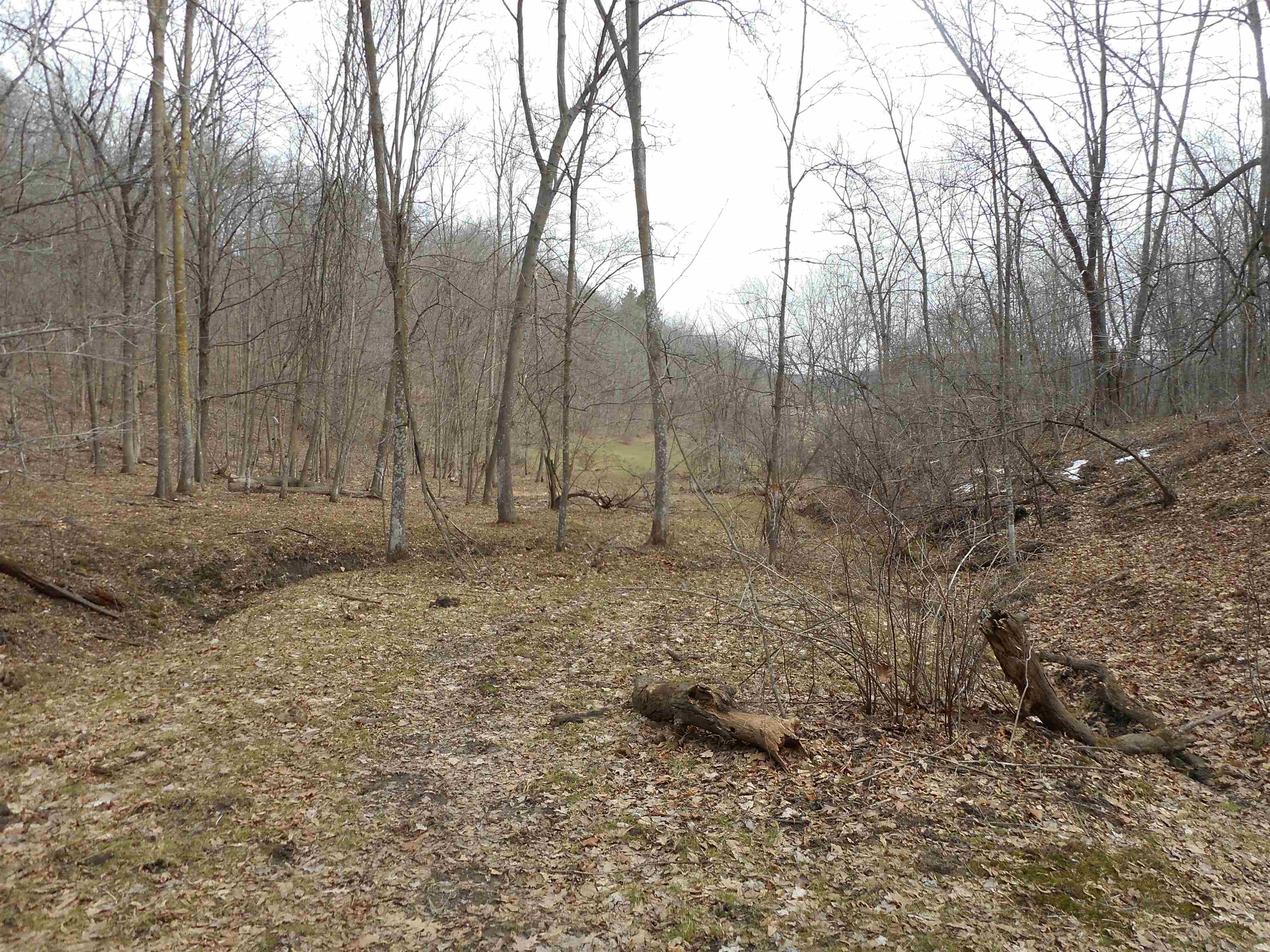 24503 Livingston Road Wilton, WI 54670 - Photo 42 of 48