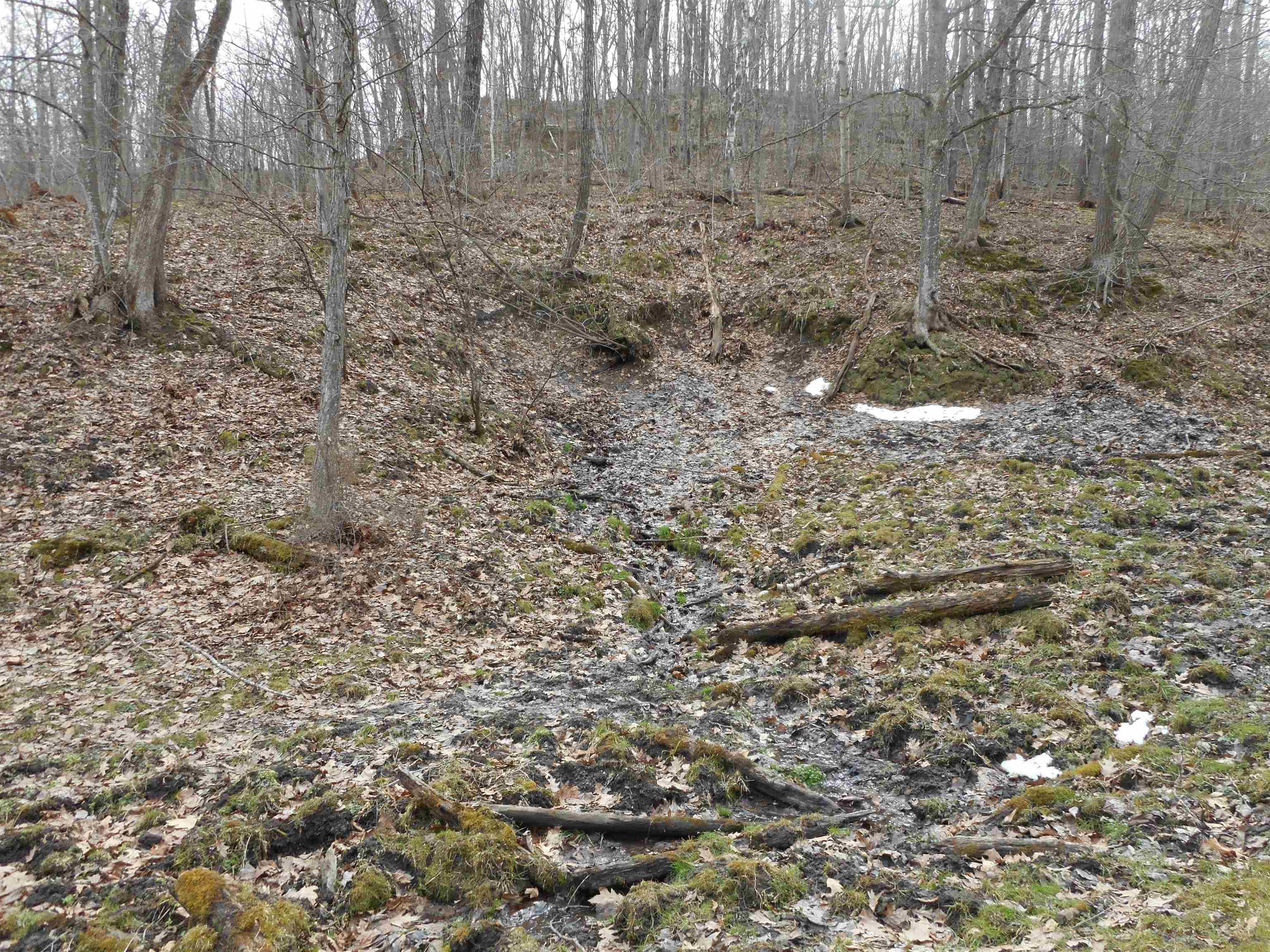 24503 Livingston Road Wilton, WI 54670 - Photo 43 of 48