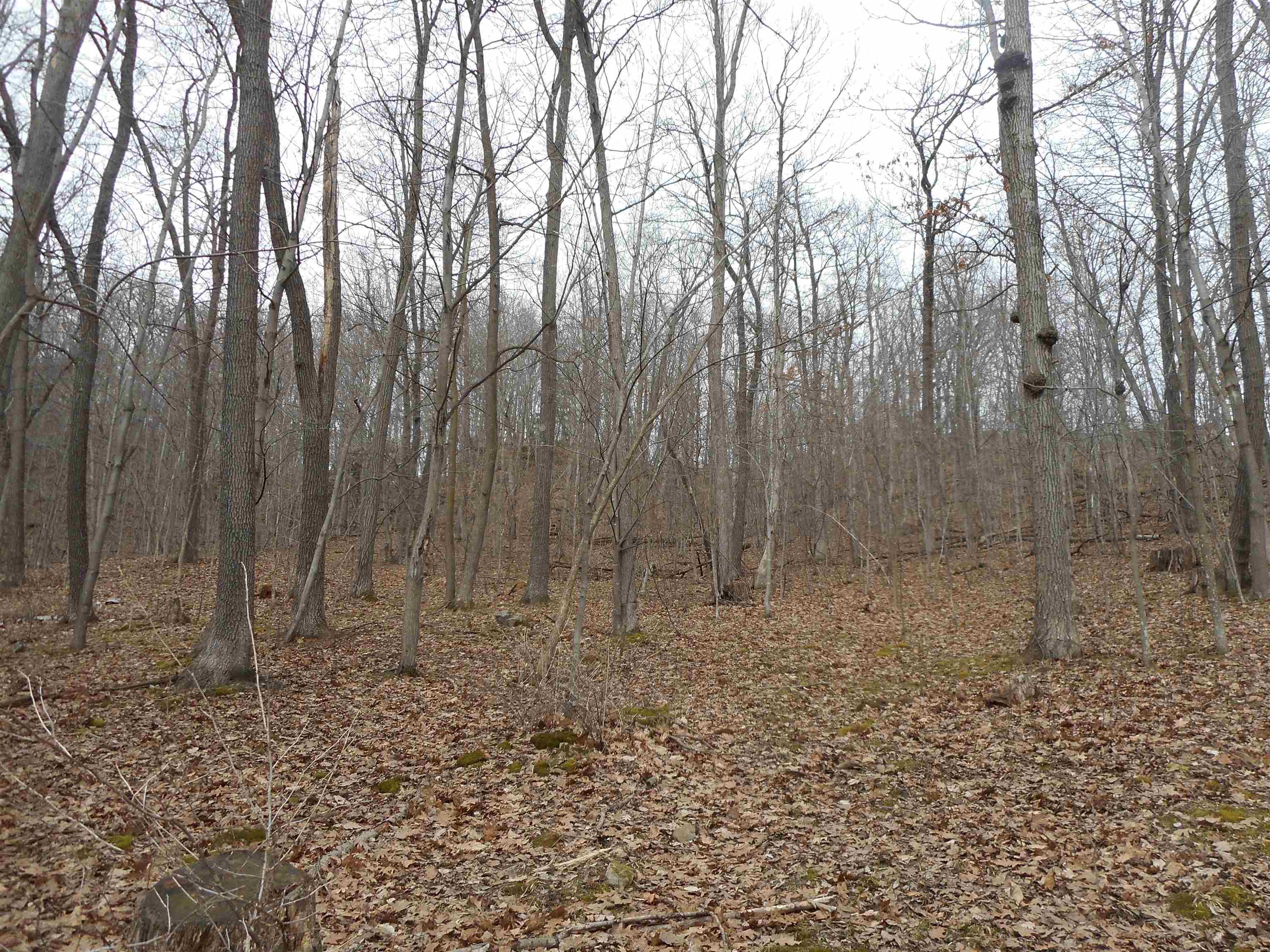 24503 Livingston Road Wilton, WI 54670 - Photo 47 of 48