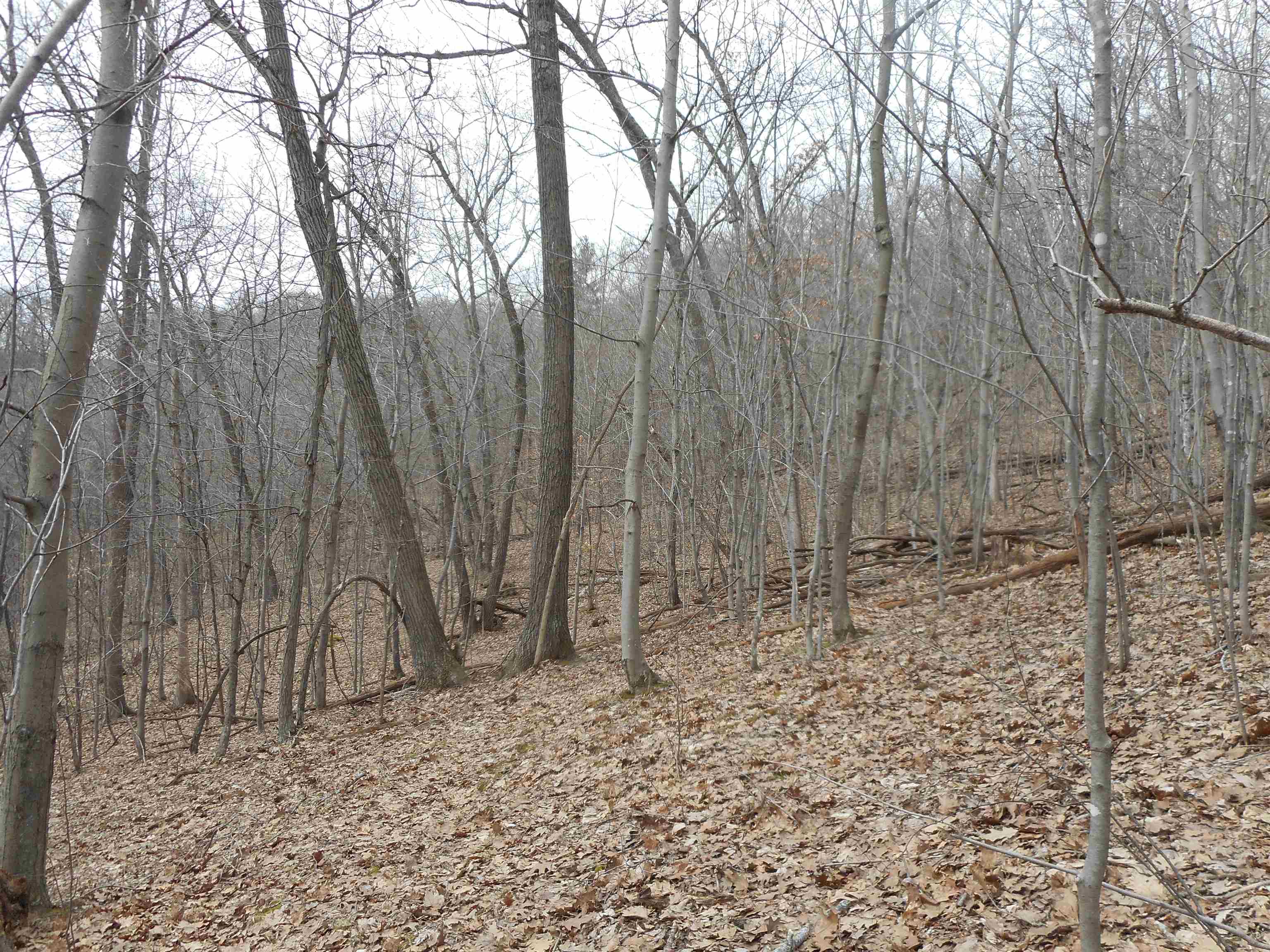 24503 Livingston Road Wilton, WI 54670 - Photo 48 of 48